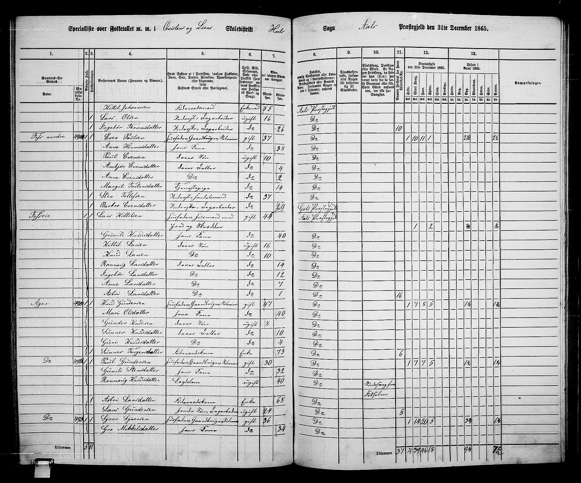 RA, 1865 census for Ål, 1865, p. 234
