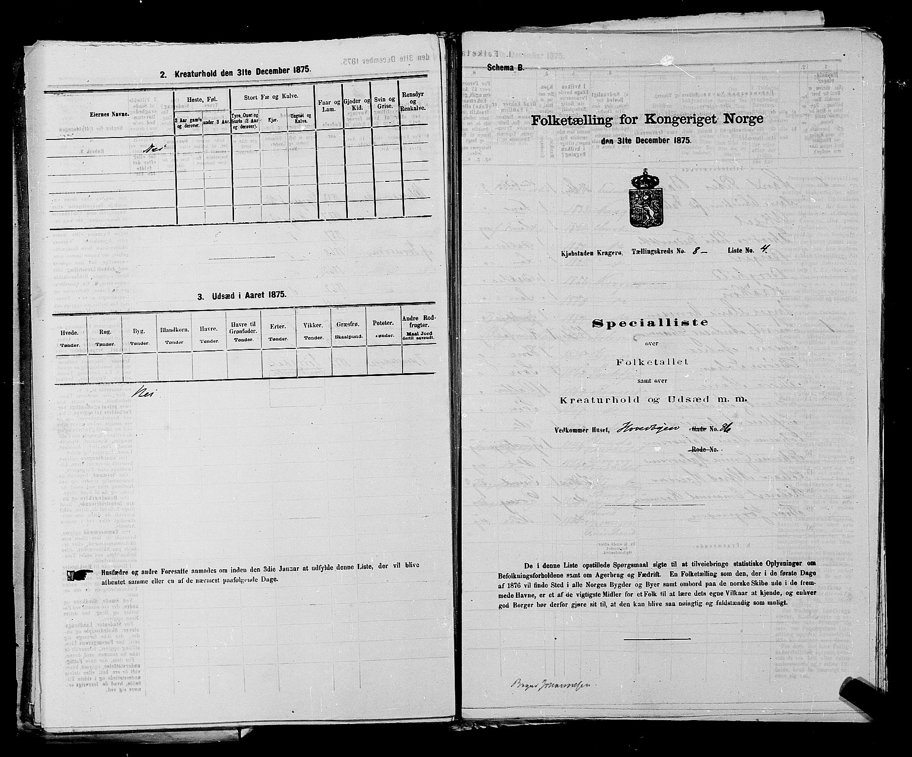 SAKO, 1875 census for 0801P Kragerø, 1875, p. 178