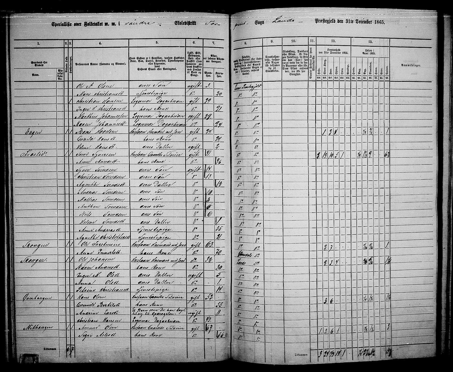 RA, 1865 census for Land, 1865, p. 97