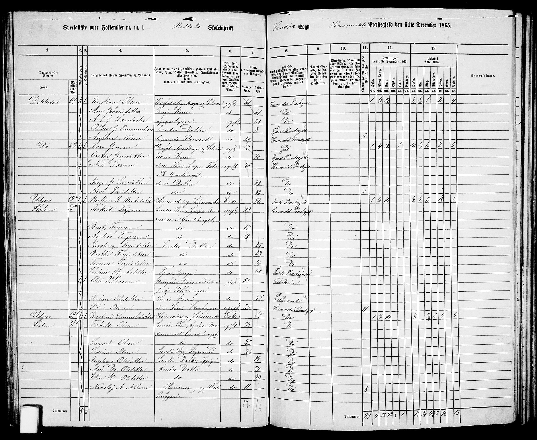 RA, 1865 census for Homedal, 1865, p. 99