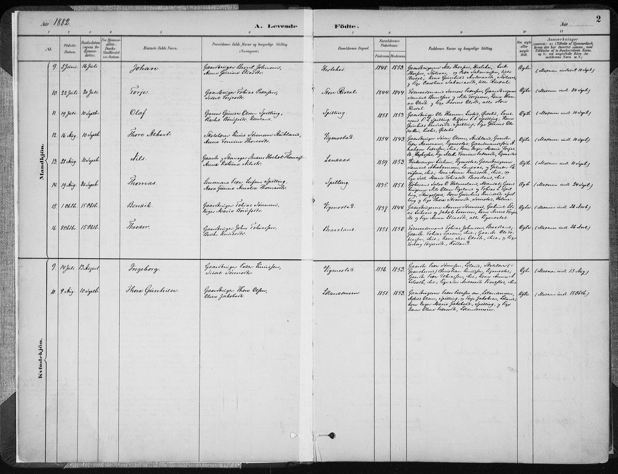 Nord-Audnedal sokneprestkontor, AV/SAK-1111-0032/F/Fa/Fab/L0003: Parish register (official) no. A 3, 1882-1900, p. 2