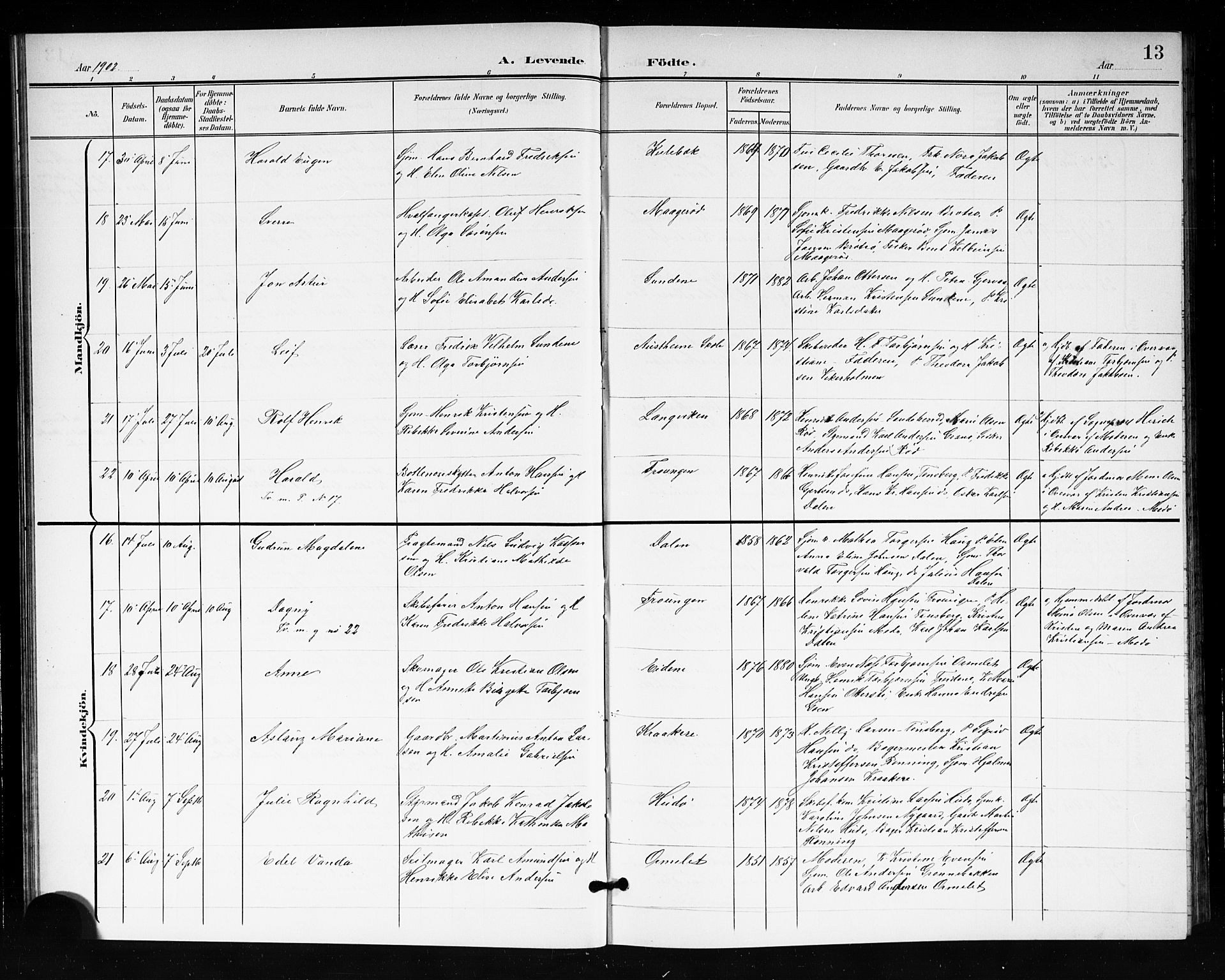 Tjøme kirkebøker, SAKO/A-328/G/Ga/L0001: Parish register (copy) no. 1, 1901-1910, p. 13