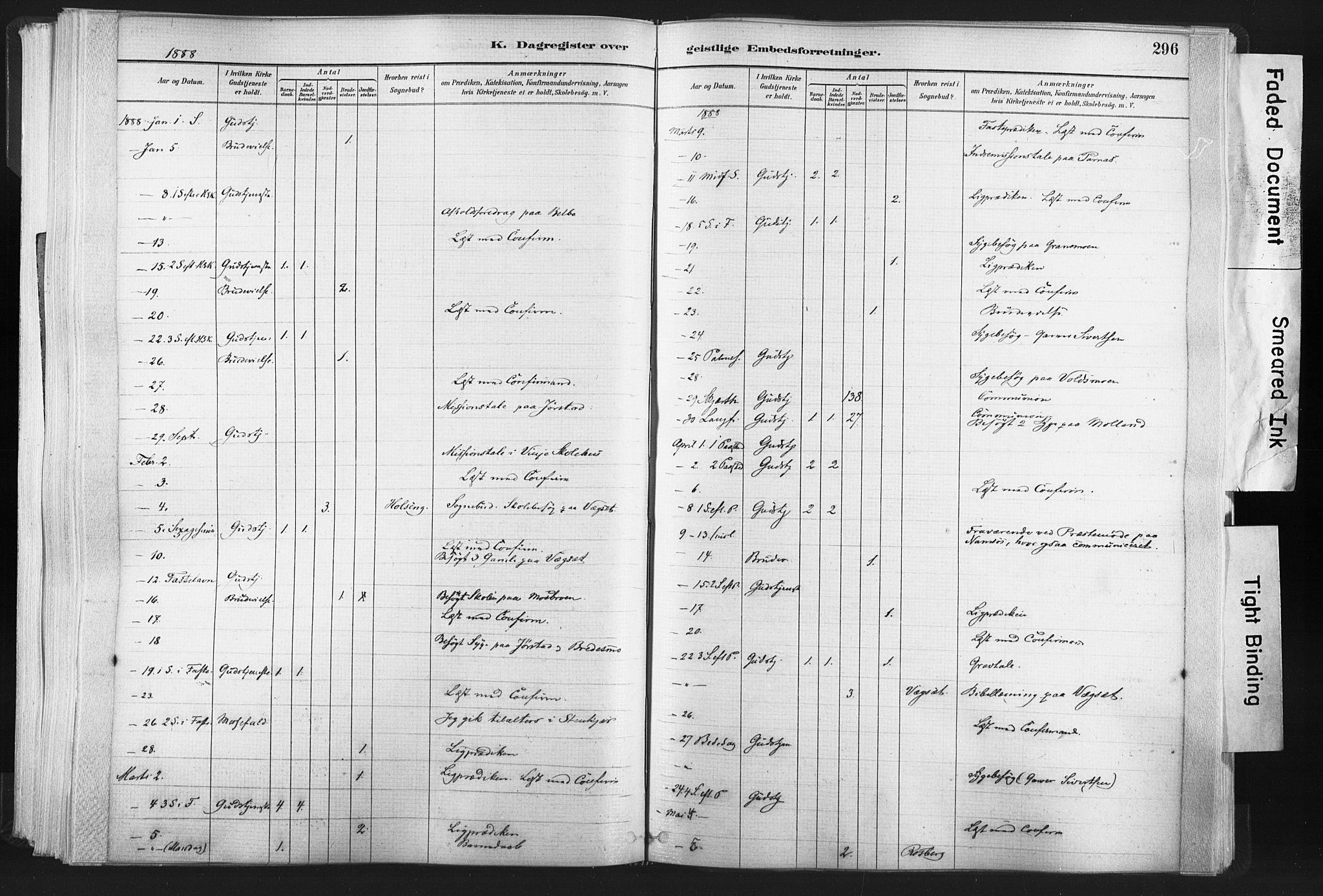 Ministerialprotokoller, klokkerbøker og fødselsregistre - Nord-Trøndelag, SAT/A-1458/749/L0474: Parish register (official) no. 749A08, 1887-1903, p. 296