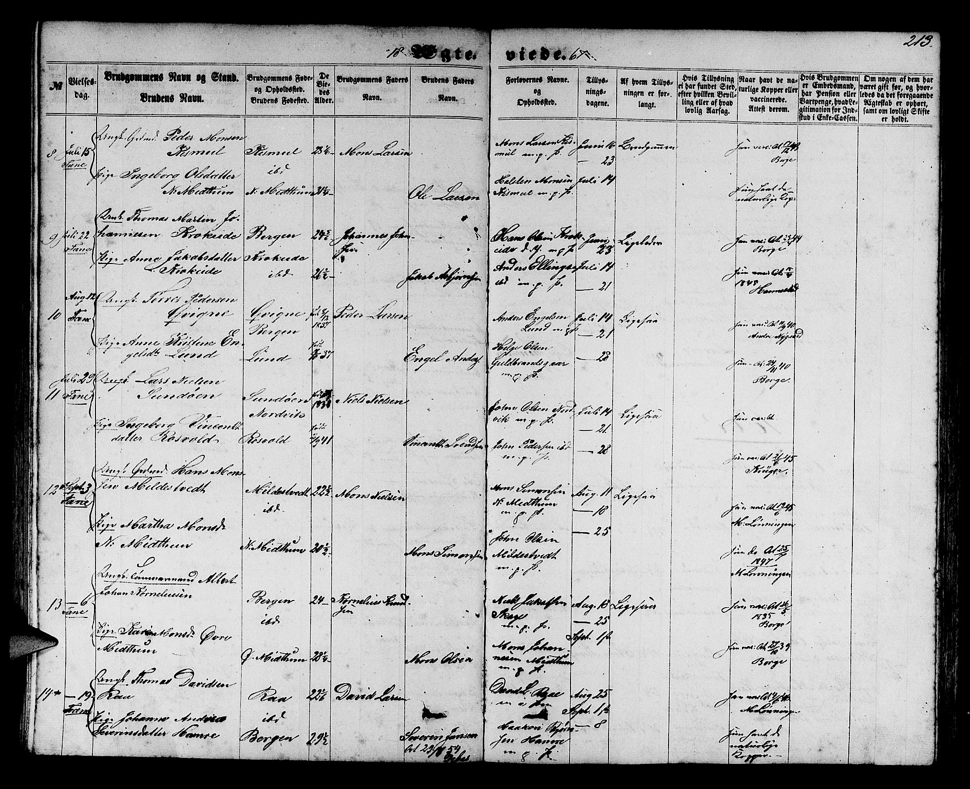 Fana Sokneprestembete, SAB/A-75101/H/Hab/Habb/L0003: Parish register (copy) no. B 3, 1861-1888, p. 213