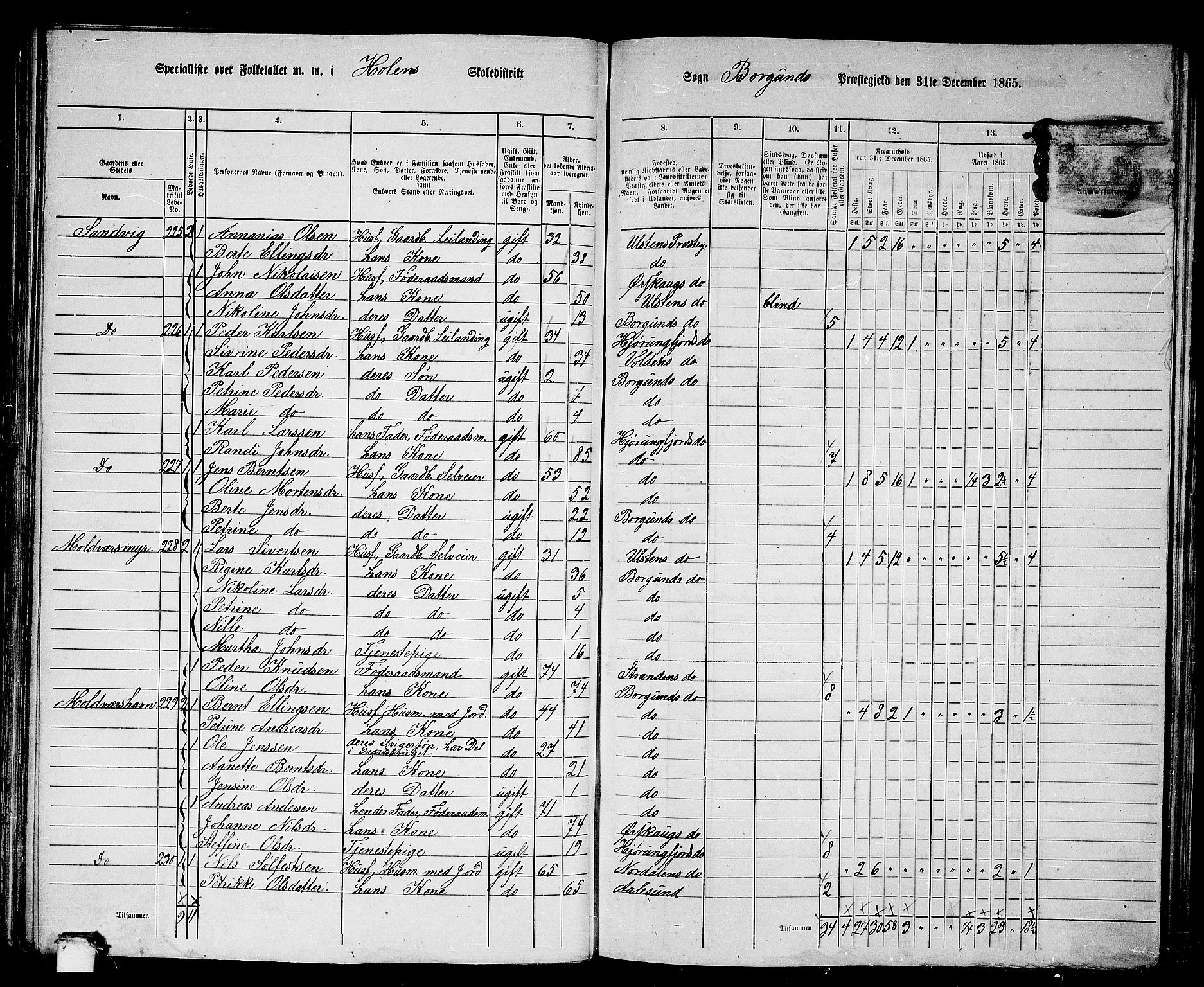 RA, 1865 census for Borgund, 1865, p. 117