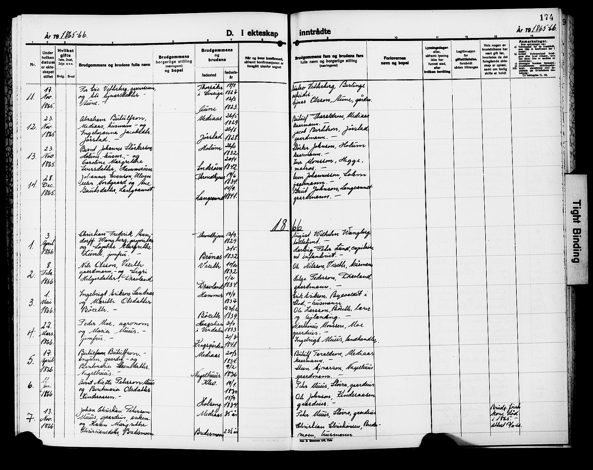 Ministerialprotokoller, klokkerbøker og fødselsregistre - Nord-Trøndelag, SAT/A-1458/749/L0485: Parish register (official) no. 749D01, 1857-1872, p. 174