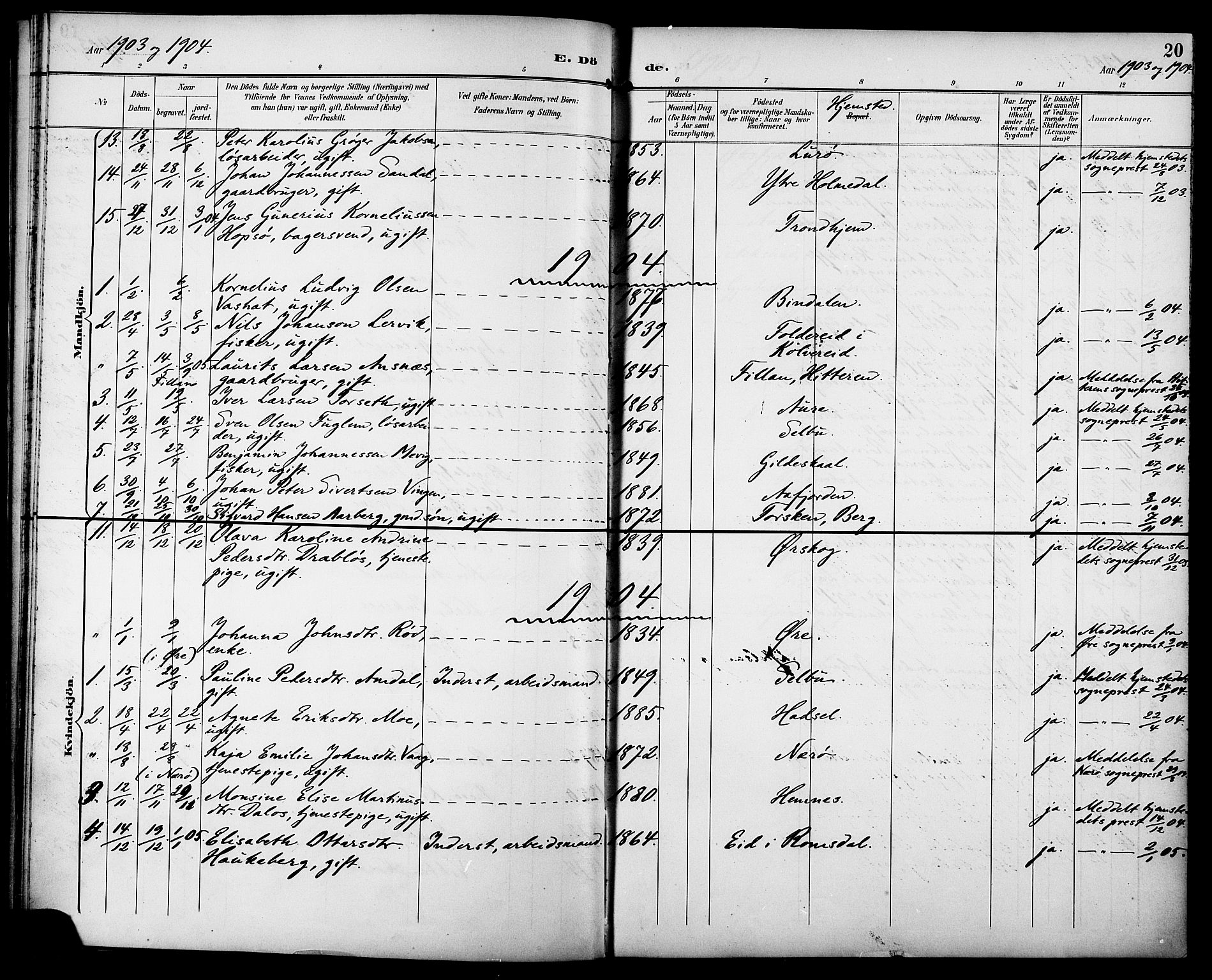 Ministerialprotokoller, klokkerbøker og fødselsregistre - Sør-Trøndelag, SAT/A-1456/629/L0486: Parish register (official) no. 629A02, 1894-1919, p. 20