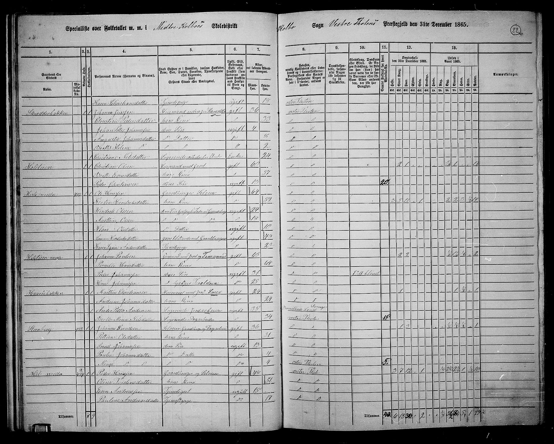 RA, 1865 census for Vestre Toten, 1865, p. 186