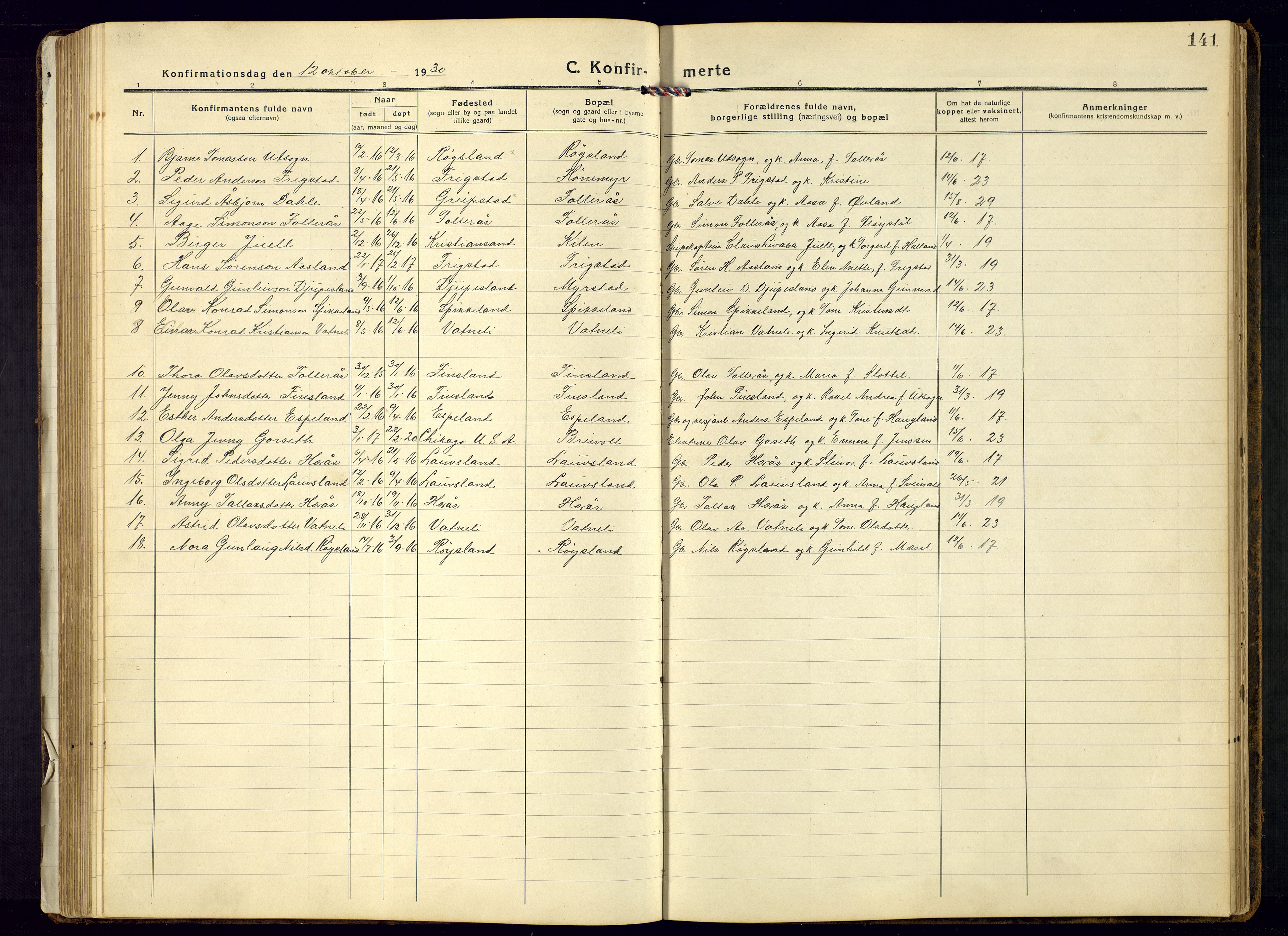 Bjelland sokneprestkontor, SAK/1111-0005/F/Fb/Fbb/L0006: Parish register (copy) no. B-6, 1918-1946, p. 141