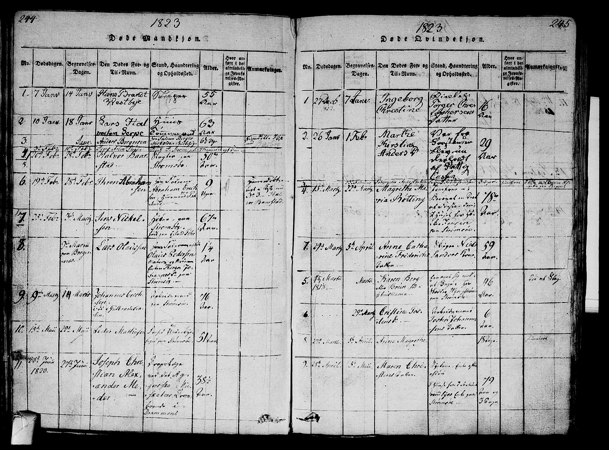 Strømsø kirkebøker, AV/SAKO-A-246/G/Ga/L0001: Parish register (copy) no. 1, 1815-1829, p. 244-245