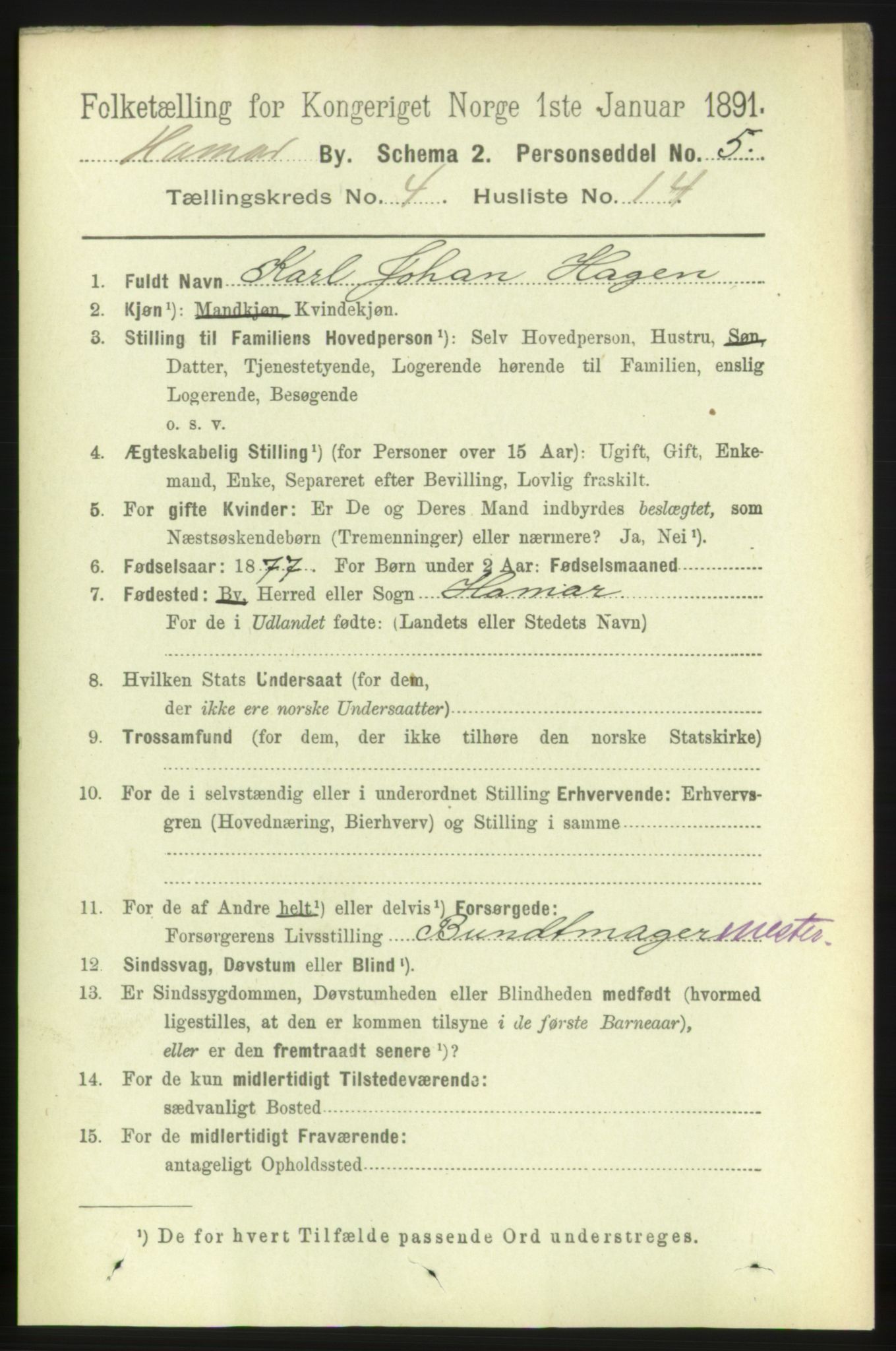 RA, 1891 census for 0401 Hamar, 1891, p. 3030