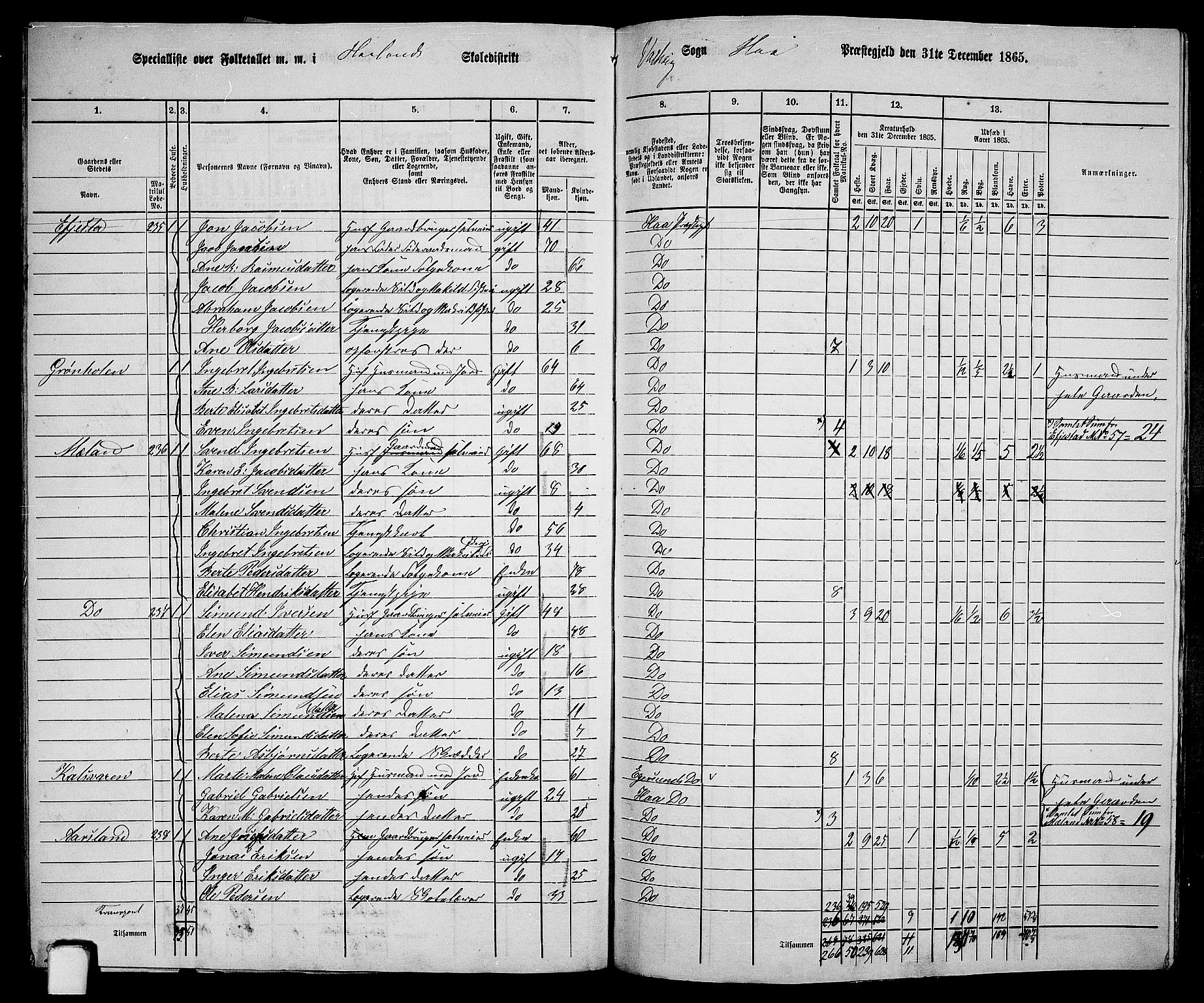 RA, 1865 census for Hå, 1865, p. 100