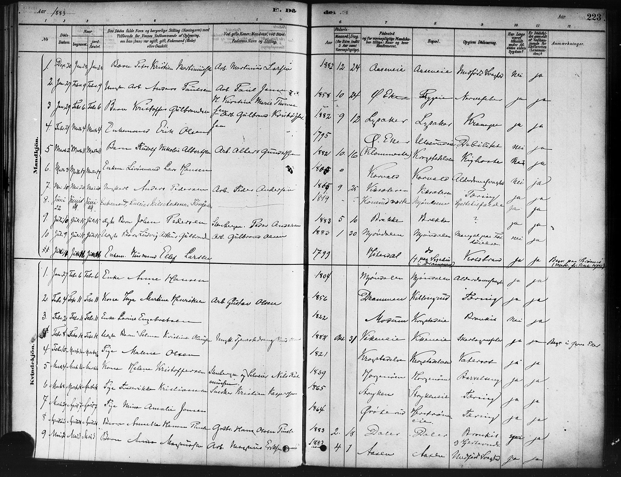 Nedre Eiker kirkebøker, SAKO/A-612/F/Fa/L0002: Parish register (official) no. 2, 1878-1885, p. 223