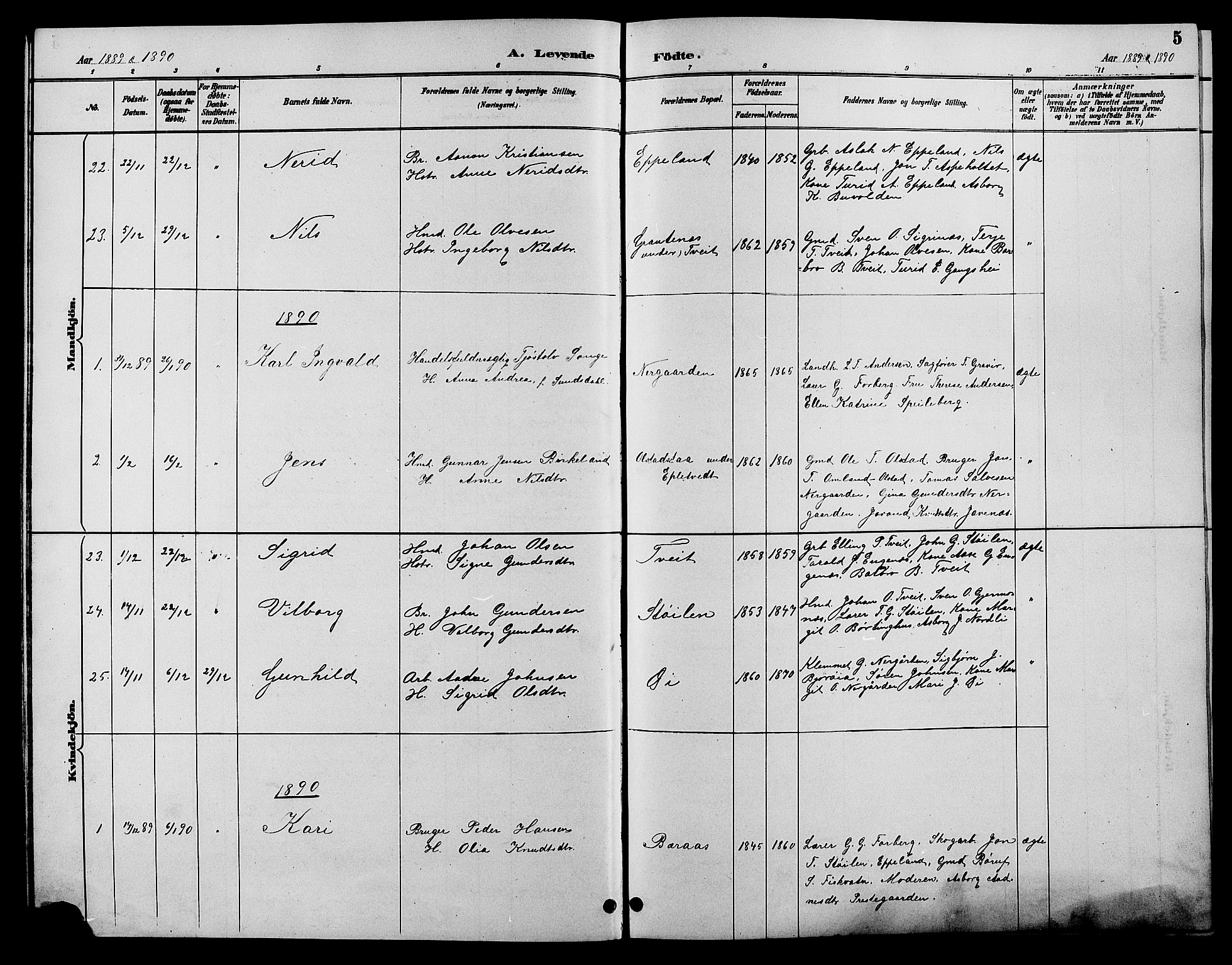 Åmli sokneprestkontor, AV/SAK-1111-0050/F/Fb/Fbc/L0004: Parish register (copy) no. B 4, 1889-1902, p. 5