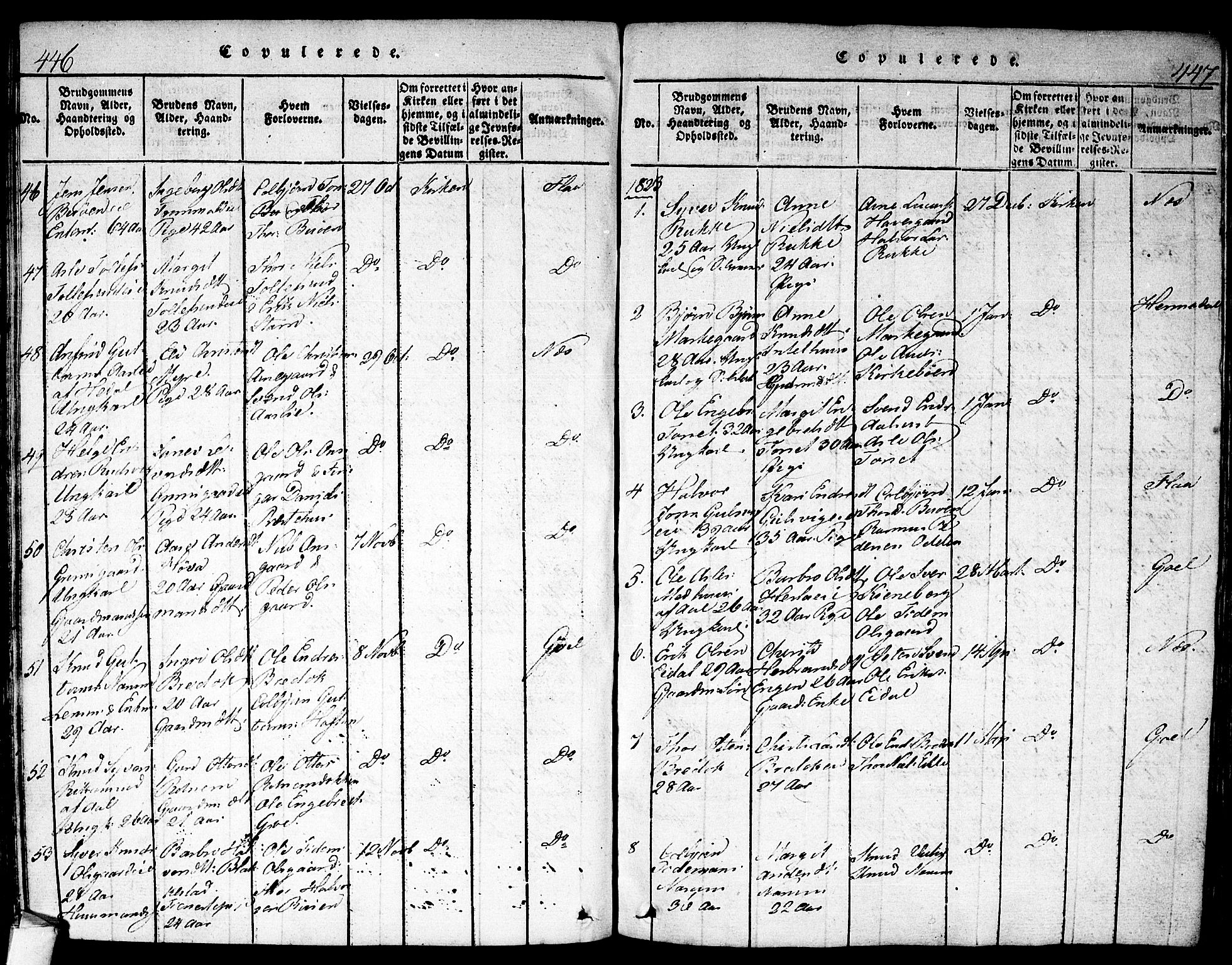 Nes kirkebøker, AV/SAKO-A-236/F/Fa/L0007: Parish register (official) no. 7, 1815-1823, p. 446-447