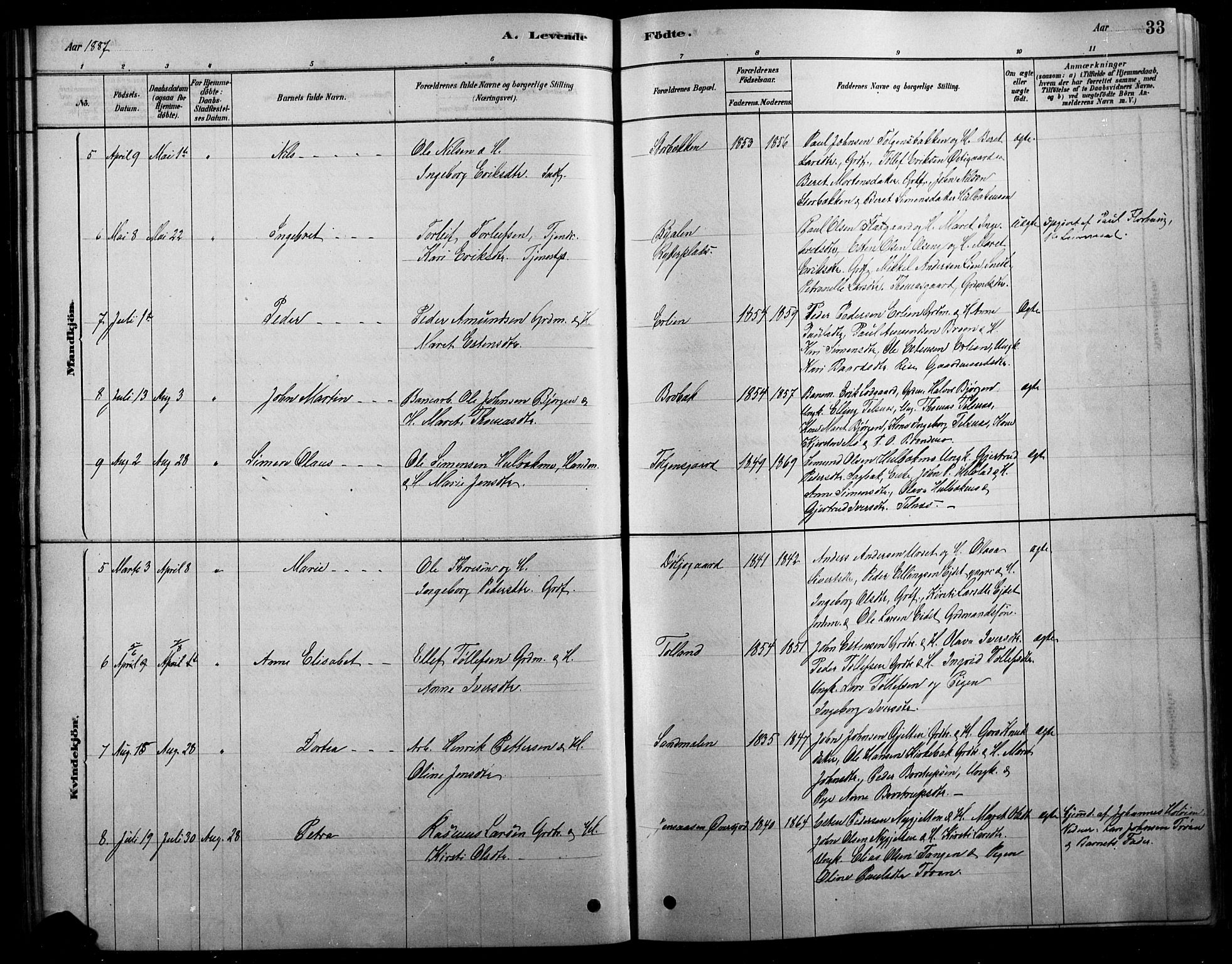 Tolga prestekontor, AV/SAH-PREST-062/L/L0007: Parish register (copy) no. 7, 1878-1919, p. 33