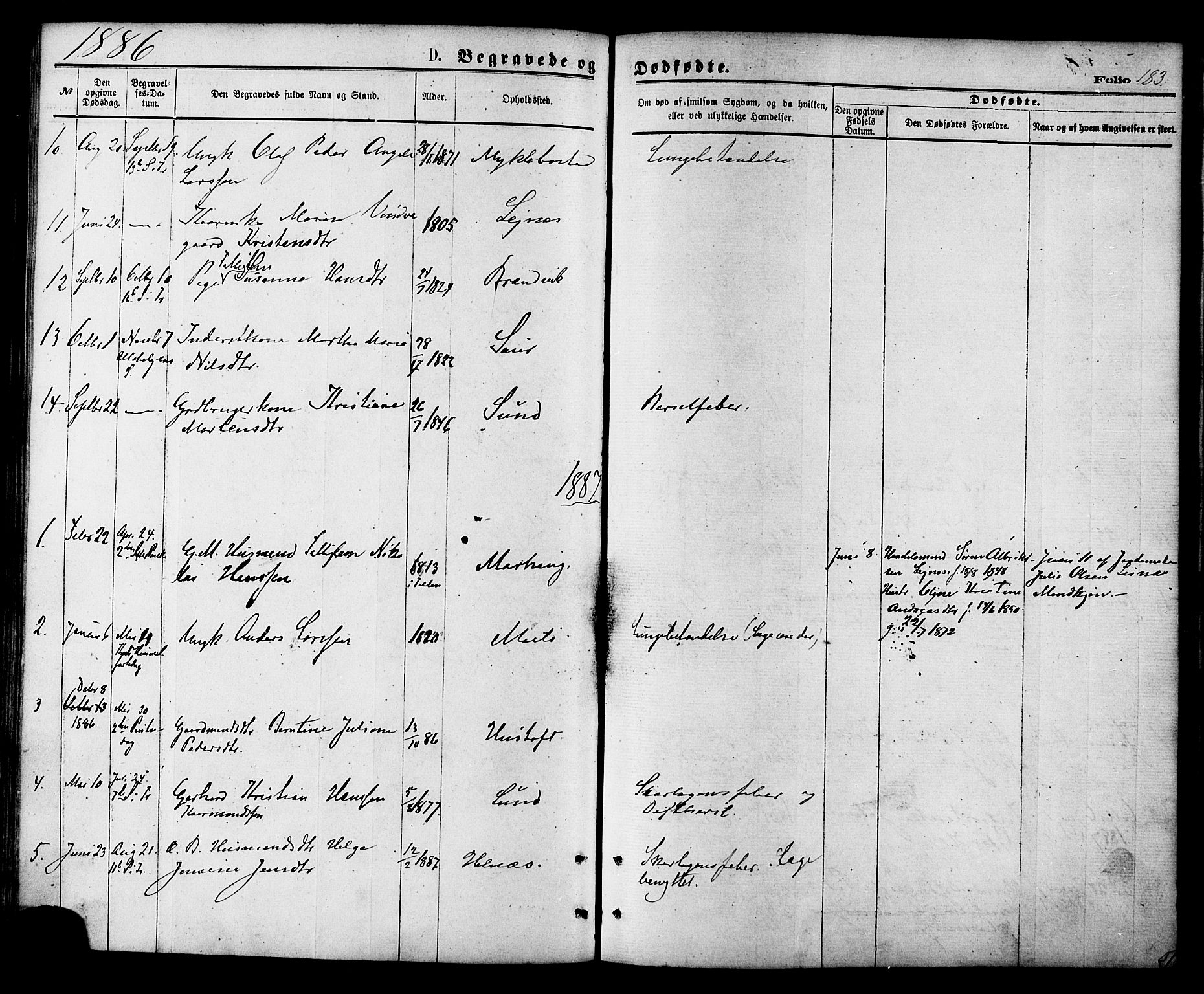 Ministerialprotokoller, klokkerbøker og fødselsregistre - Nordland, AV/SAT-A-1459/857/L0821: Parish register (official) no. 857A01, 1875-1889, p. 183