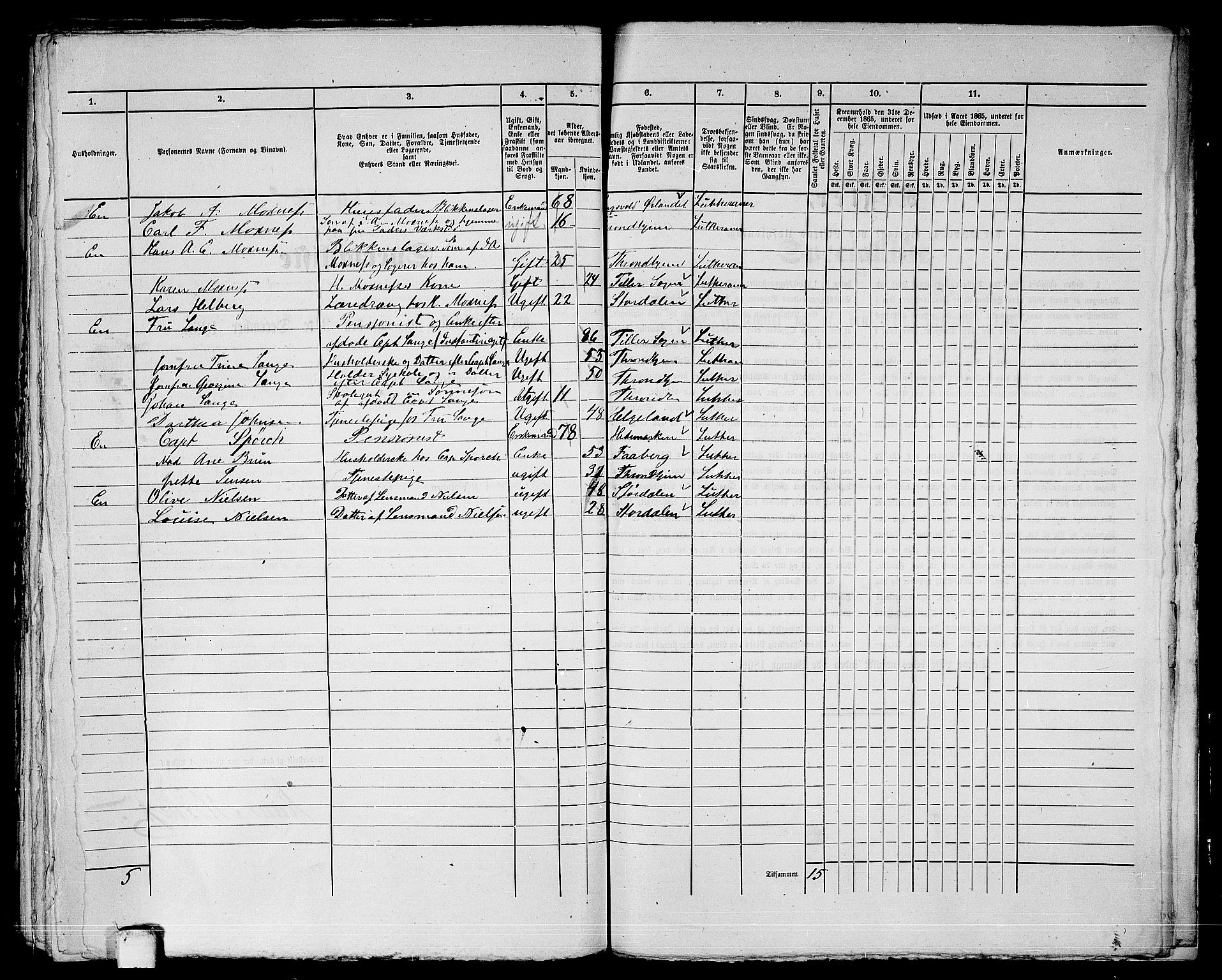 RA, 1865 census for Trondheim, 1865, p. 1029