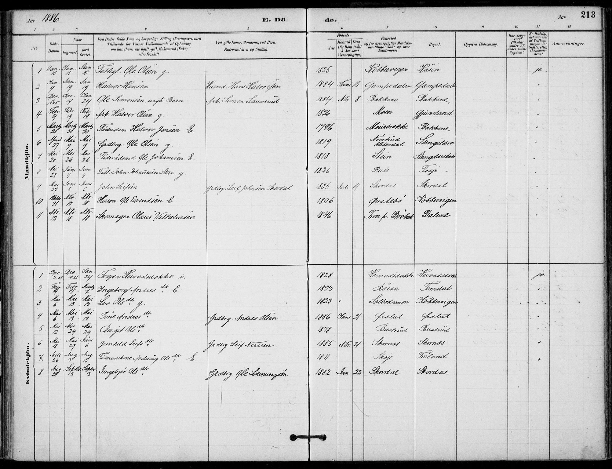 Hjartdal kirkebøker, SAKO/A-270/F/Fb/L0002: Parish register (official) no. II 2, 1880-1932, p. 213