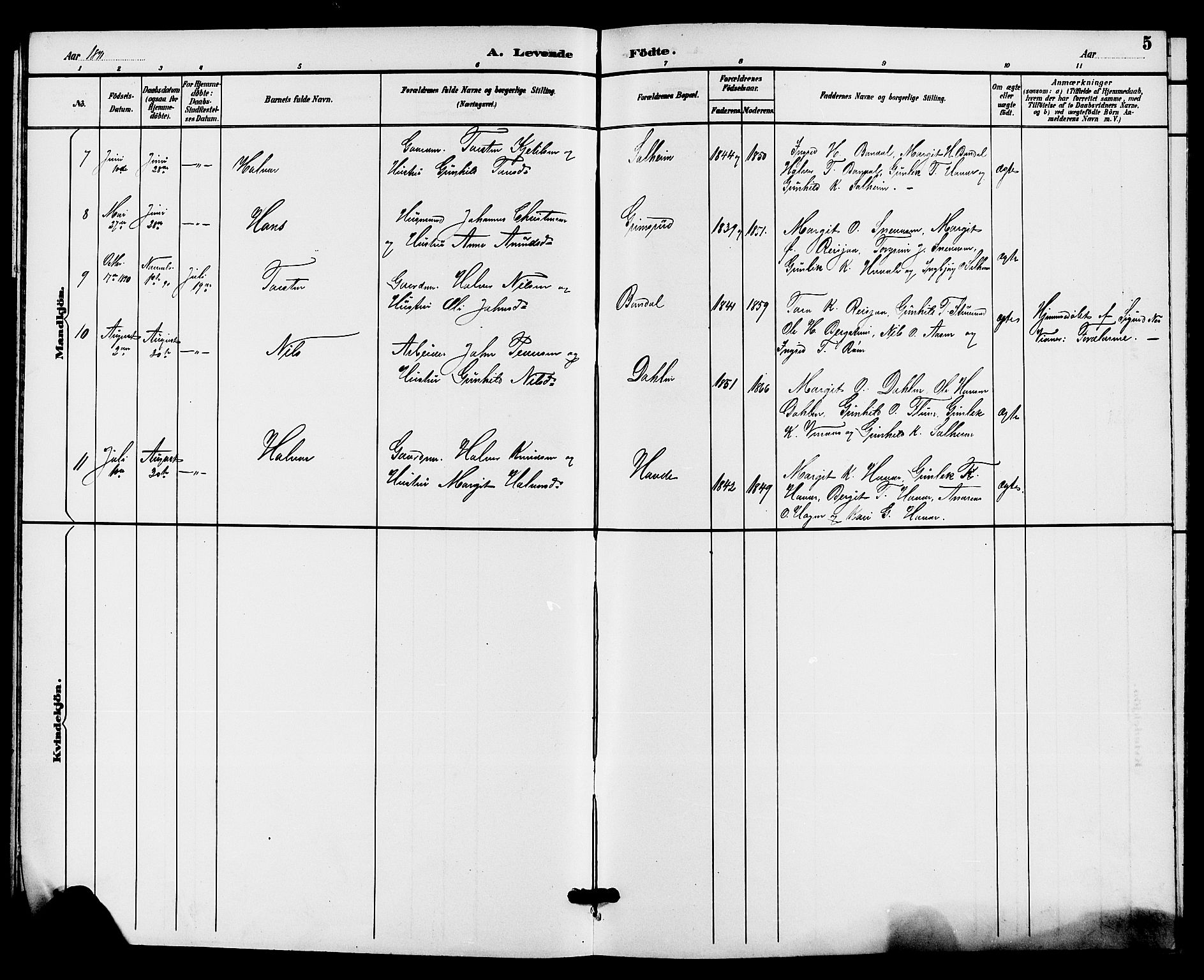 Hjartdal kirkebøker, AV/SAKO-A-270/G/Gc/L0003: Parish register (copy) no. III 3, 1890-1907, p. 5