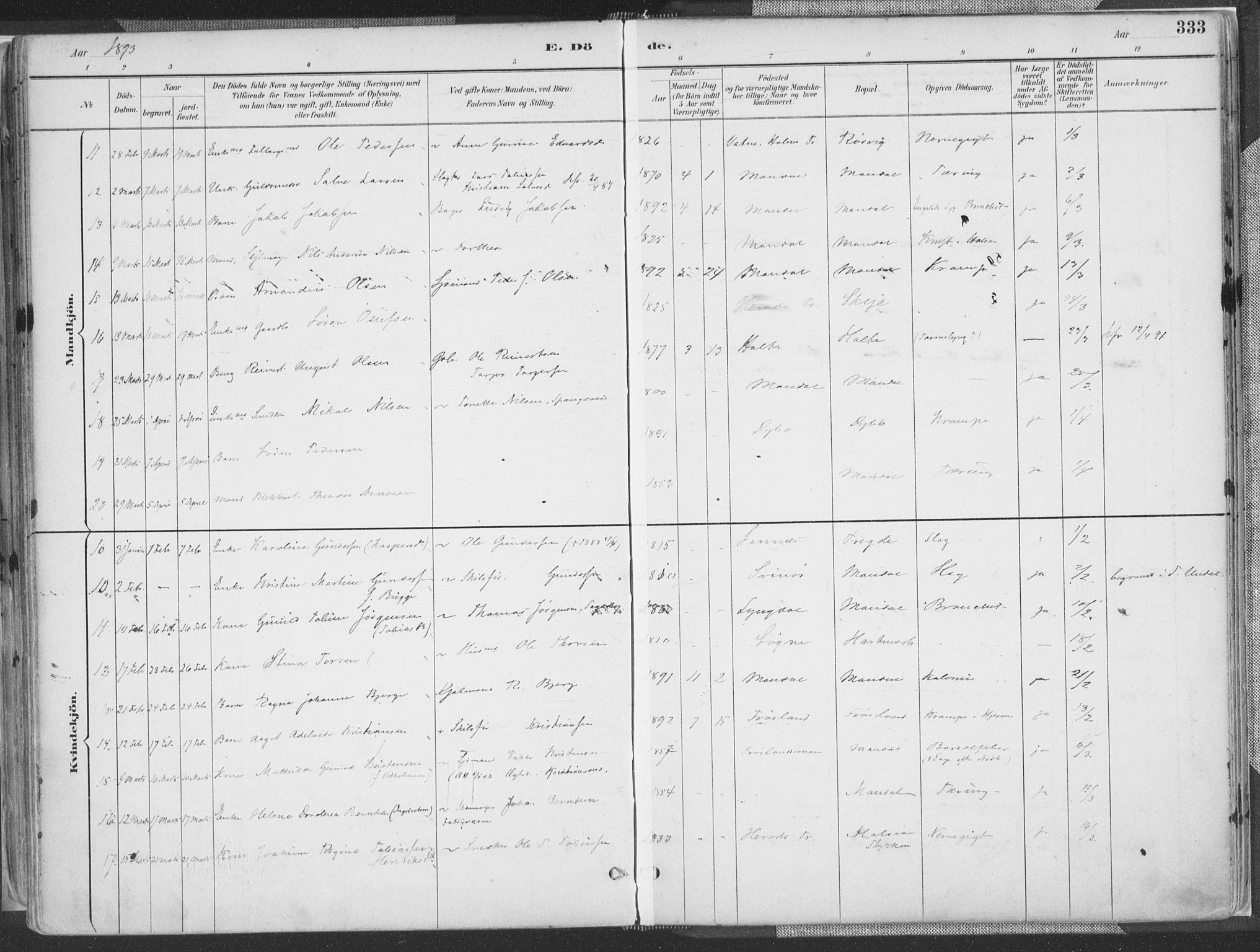 Mandal sokneprestkontor, AV/SAK-1111-0030/F/Fa/Faa/L0018: Parish register (official) no. A 18, 1890-1905, p. 333