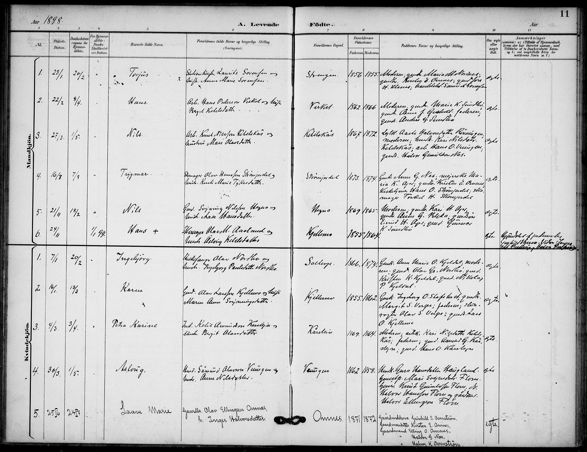 Lunde kirkebøker, SAKO/A-282/F/Fb/L0004: Parish register (official) no. II 4, 1892-1907, p. 11