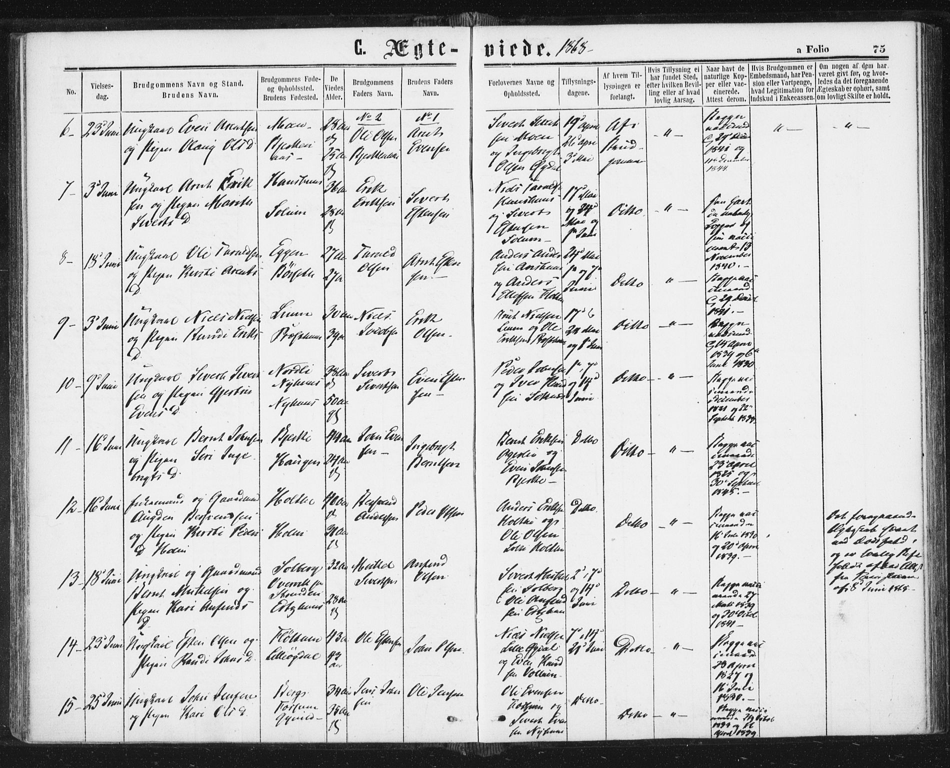 Ministerialprotokoller, klokkerbøker og fødselsregistre - Sør-Trøndelag, AV/SAT-A-1456/689/L1039: Parish register (official) no. 689A04, 1865-1878, p. 75