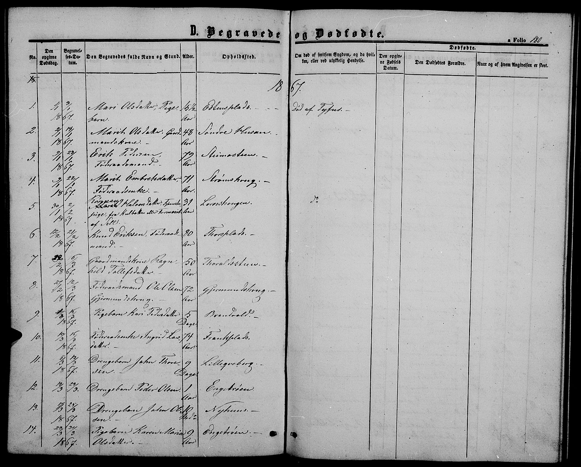 Alvdal prestekontor, SAH/PREST-060/H/Ha/Hab/L0002: Parish register (copy) no. 2, 1863-1878, p. 180