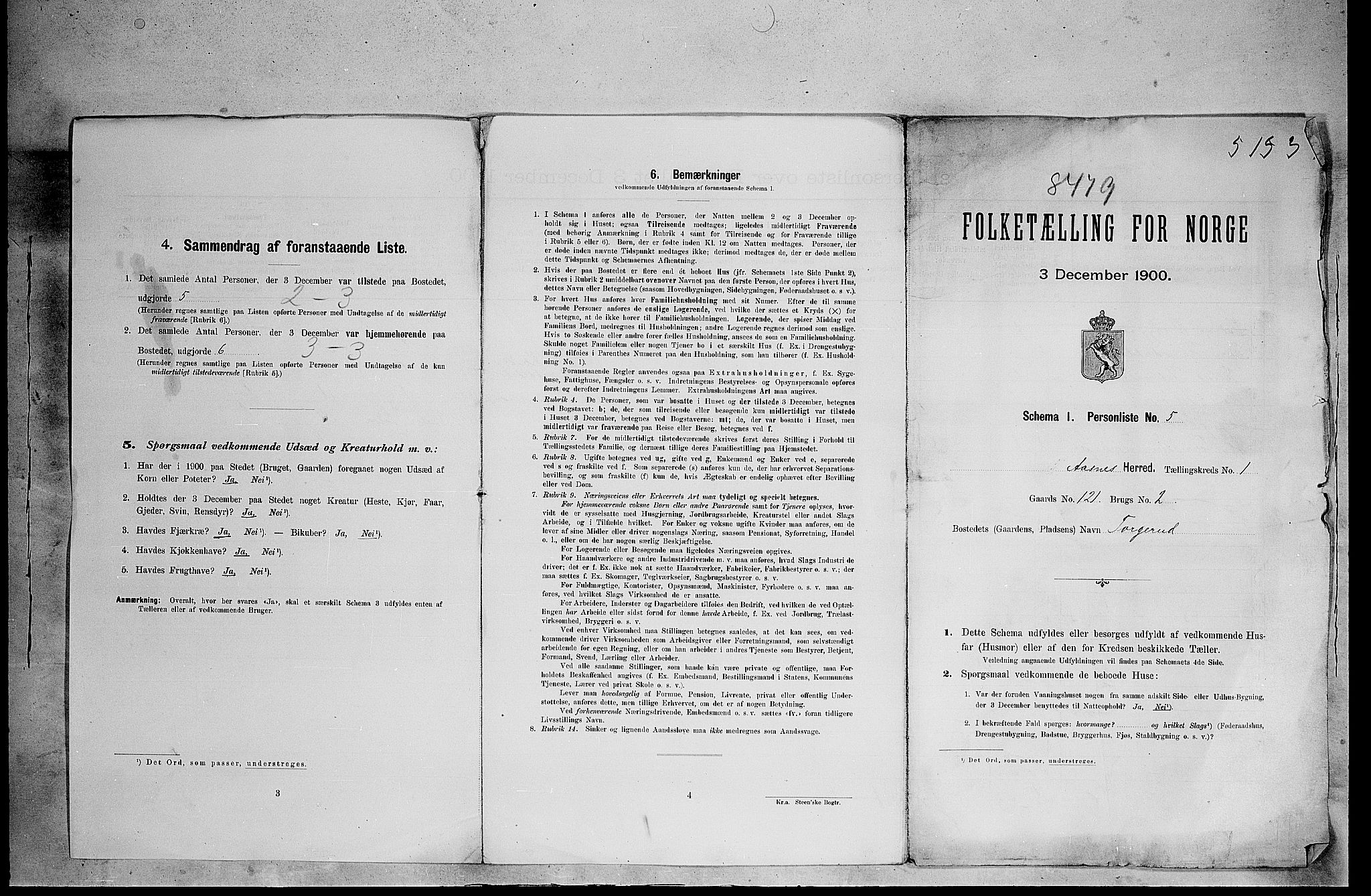 SAH, 1900 census for Åsnes, 1900, p. 52