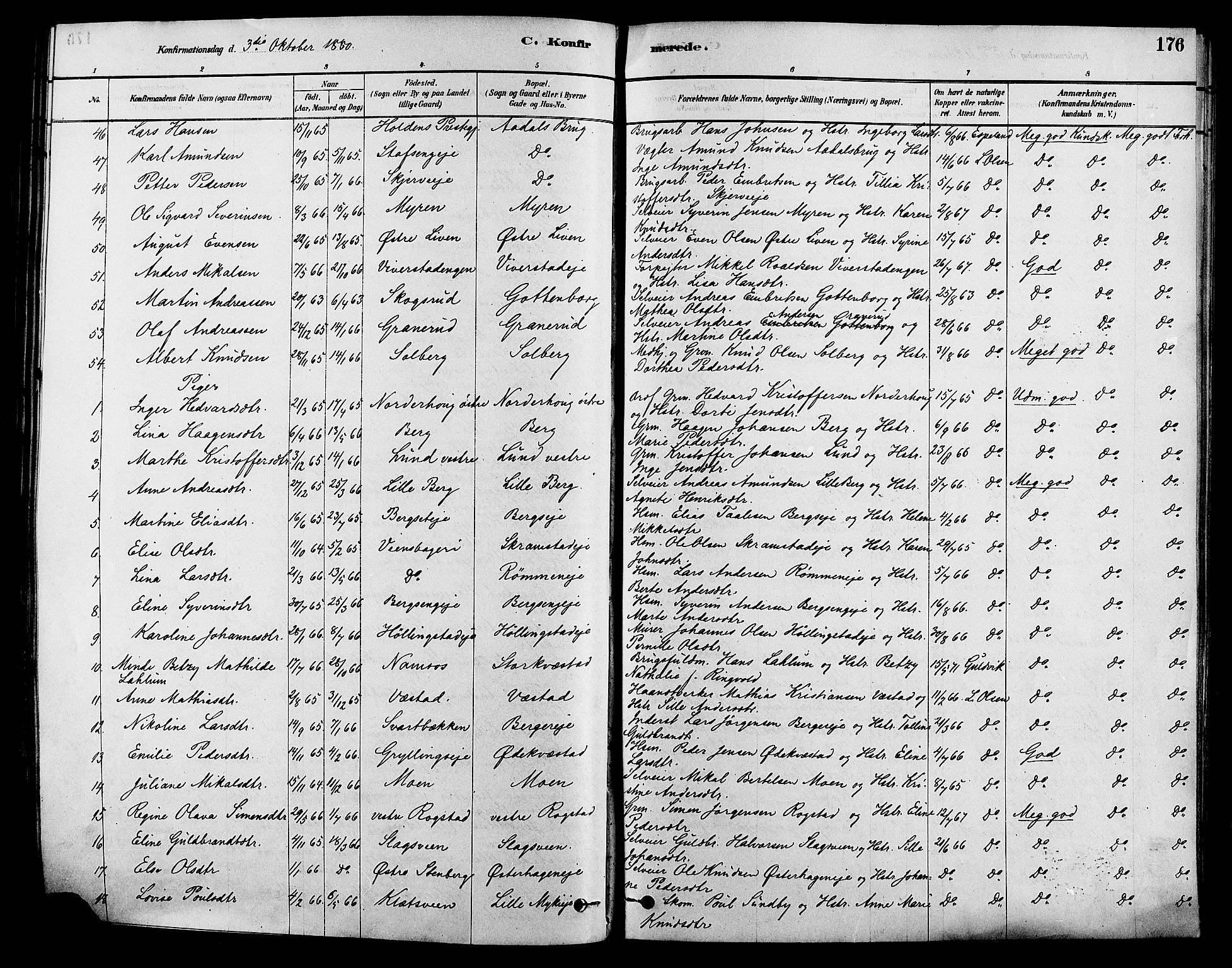 Løten prestekontor, AV/SAH-PREST-022/K/Ka/L0009: Parish register (official) no. 9, 1878-1891, p. 176