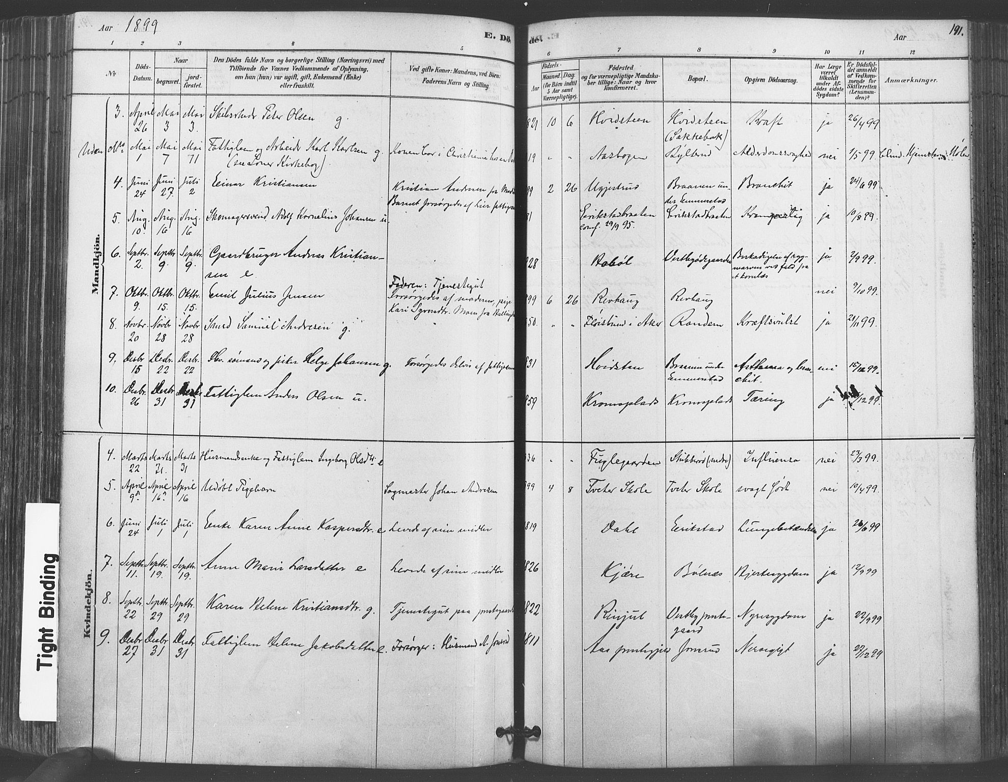 Vestby prestekontor Kirkebøker, AV/SAO-A-10893/F/Fa/L0009: Parish register (official) no. I 9, 1878-1900, p. 191