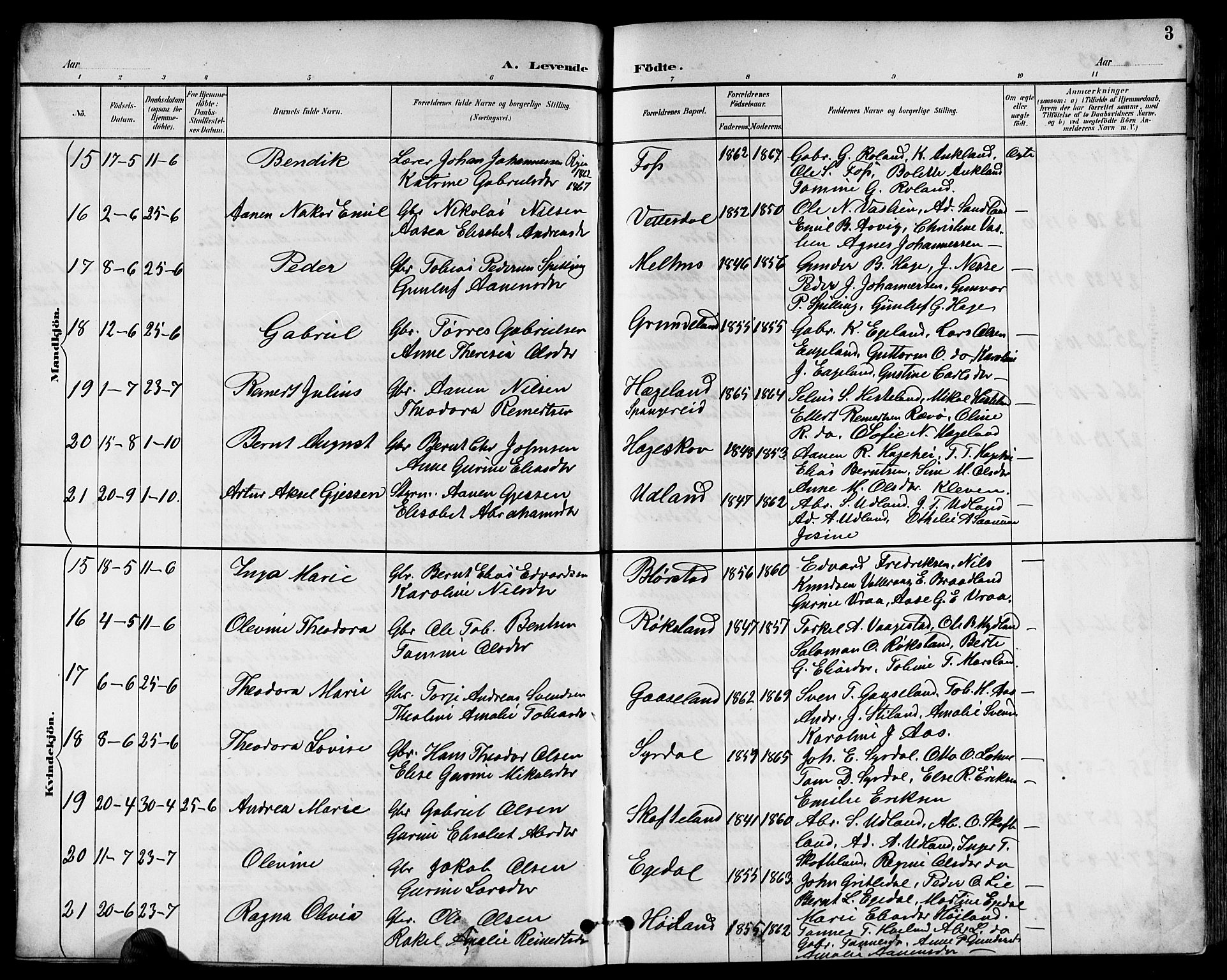 Sør-Audnedal sokneprestkontor, SAK/1111-0039/F/Fb/Fbb/L0006: Parish register (copy) no. B 6, 1893-1915, p. 3