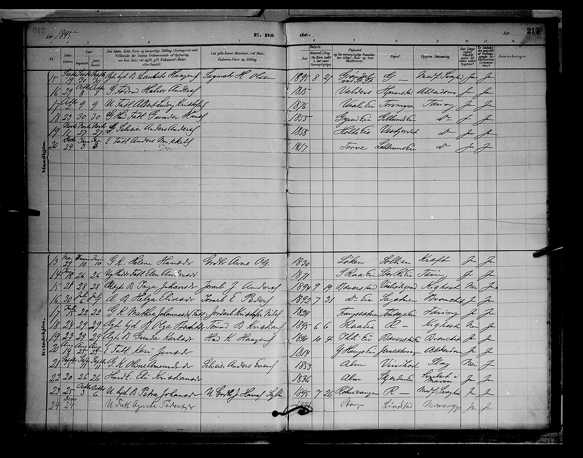 Stange prestekontor, SAH/PREST-002/L/L0009: Parish register (copy) no. 9, 1883-1899, p. 217