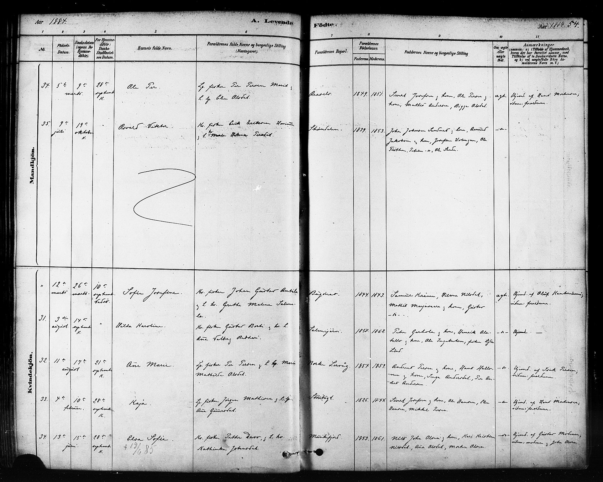 Sør-Varanger sokneprestkontor, SATØ/S-1331/H/Ha/L0003kirke: Parish register (official) no. 3, 1878-1891, p. 54