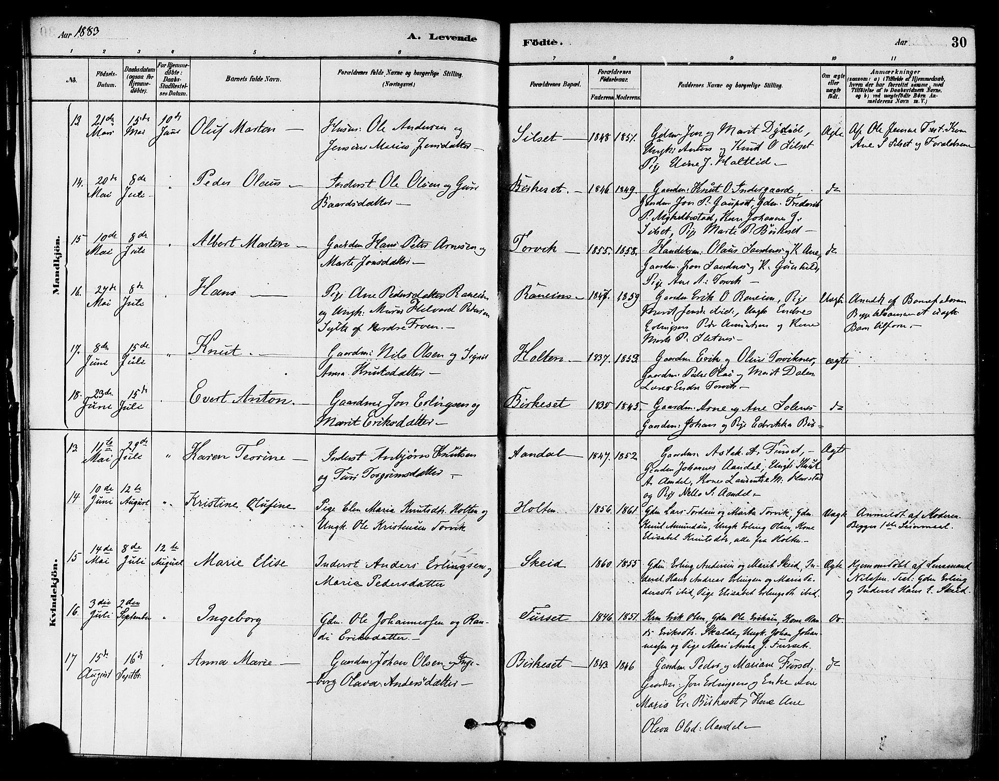 Ministerialprotokoller, klokkerbøker og fødselsregistre - Møre og Romsdal, AV/SAT-A-1454/584/L0967: Parish register (official) no. 584A07, 1879-1894, p. 30