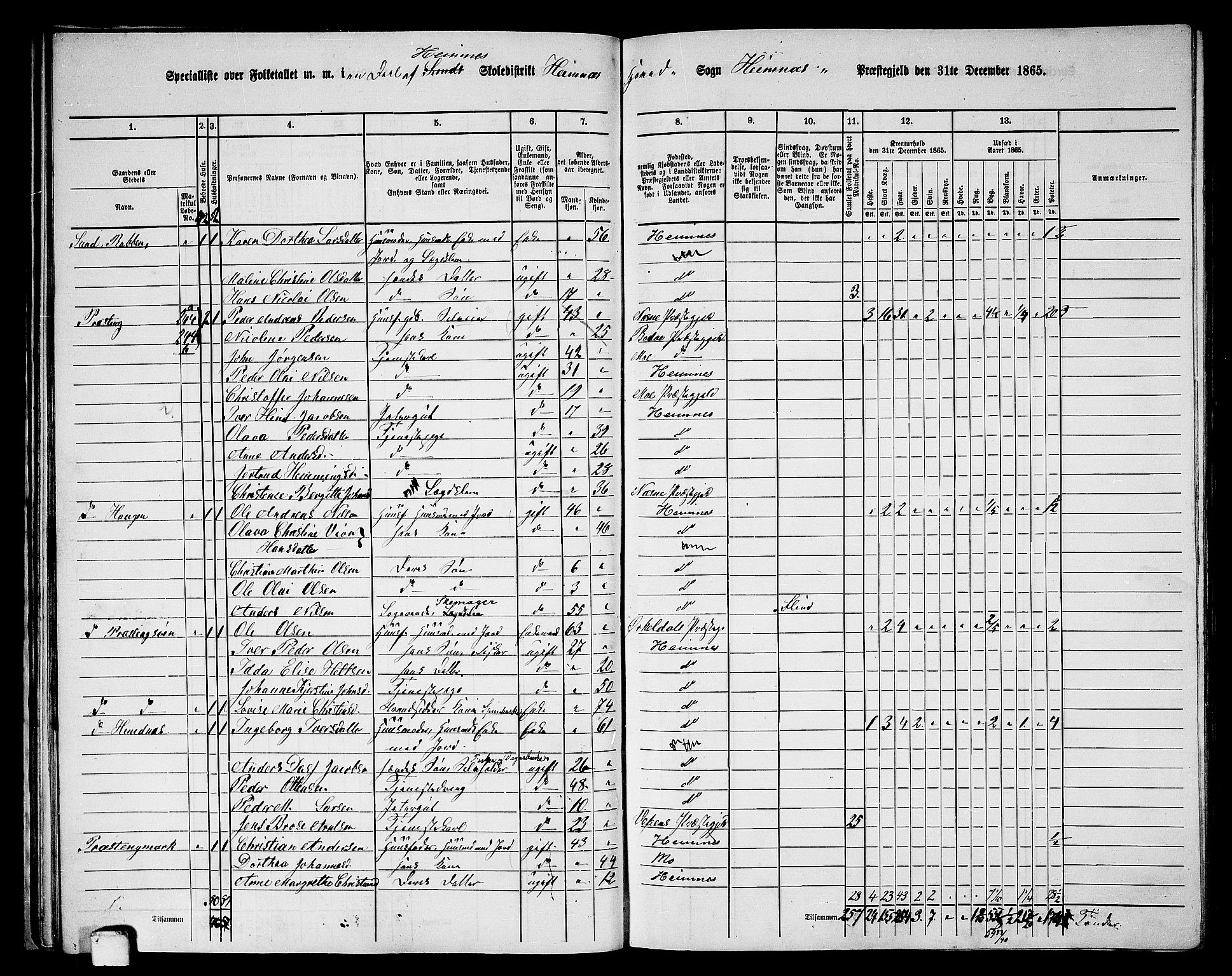 RA, 1865 census for Hemnes, 1865, p. 43