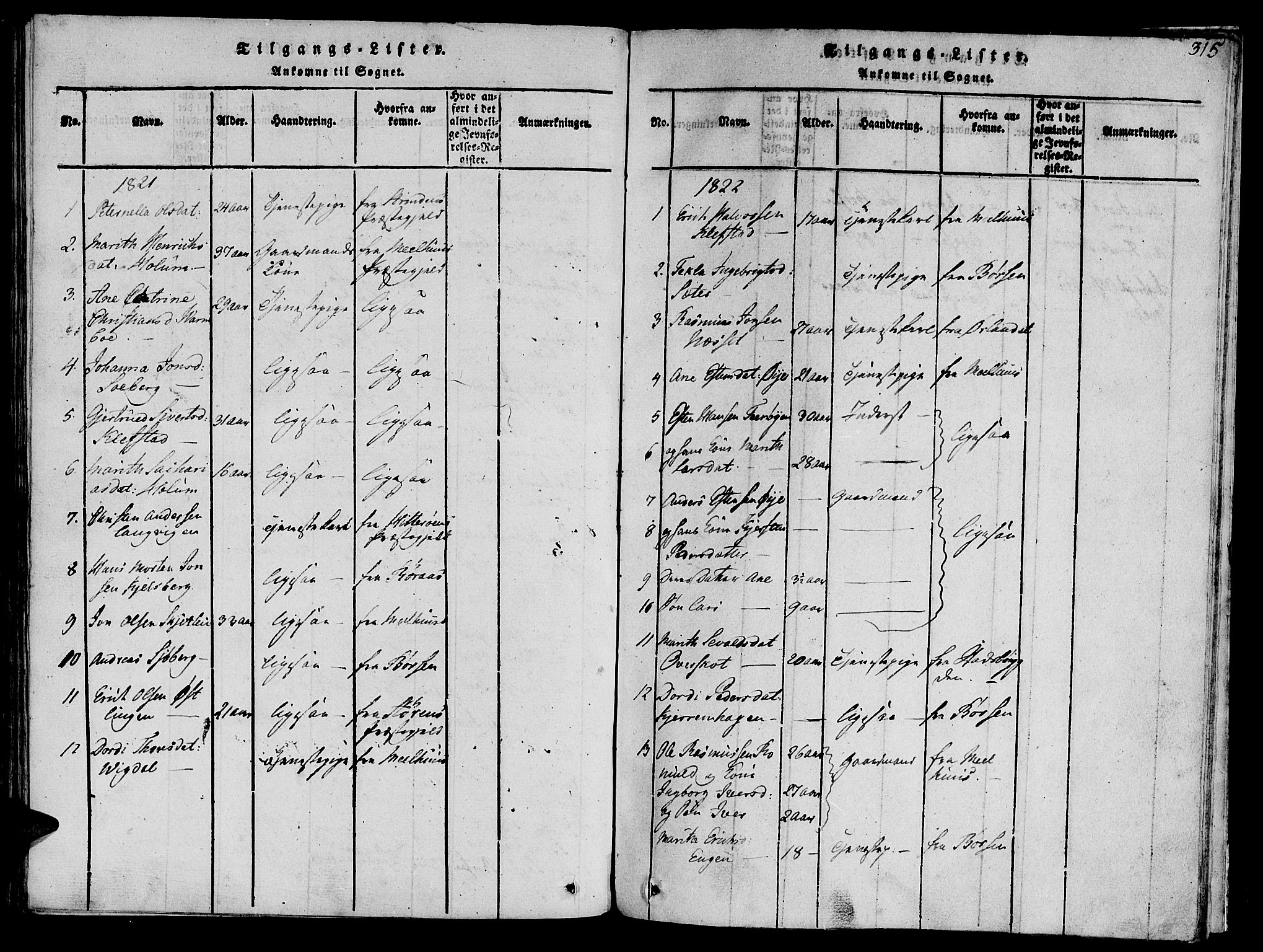 Ministerialprotokoller, klokkerbøker og fødselsregistre - Sør-Trøndelag, SAT/A-1456/612/L0372: Parish register (official) no. 612A06 /1, 1816-1828, p. 315