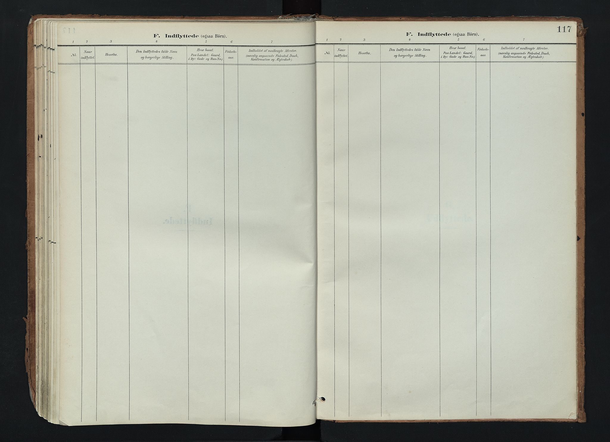 Nord-Aurdal prestekontor, AV/SAH-PREST-132/H/Ha/Haa/L0017: Parish register (official) no. 17, 1897-1926, p. 117