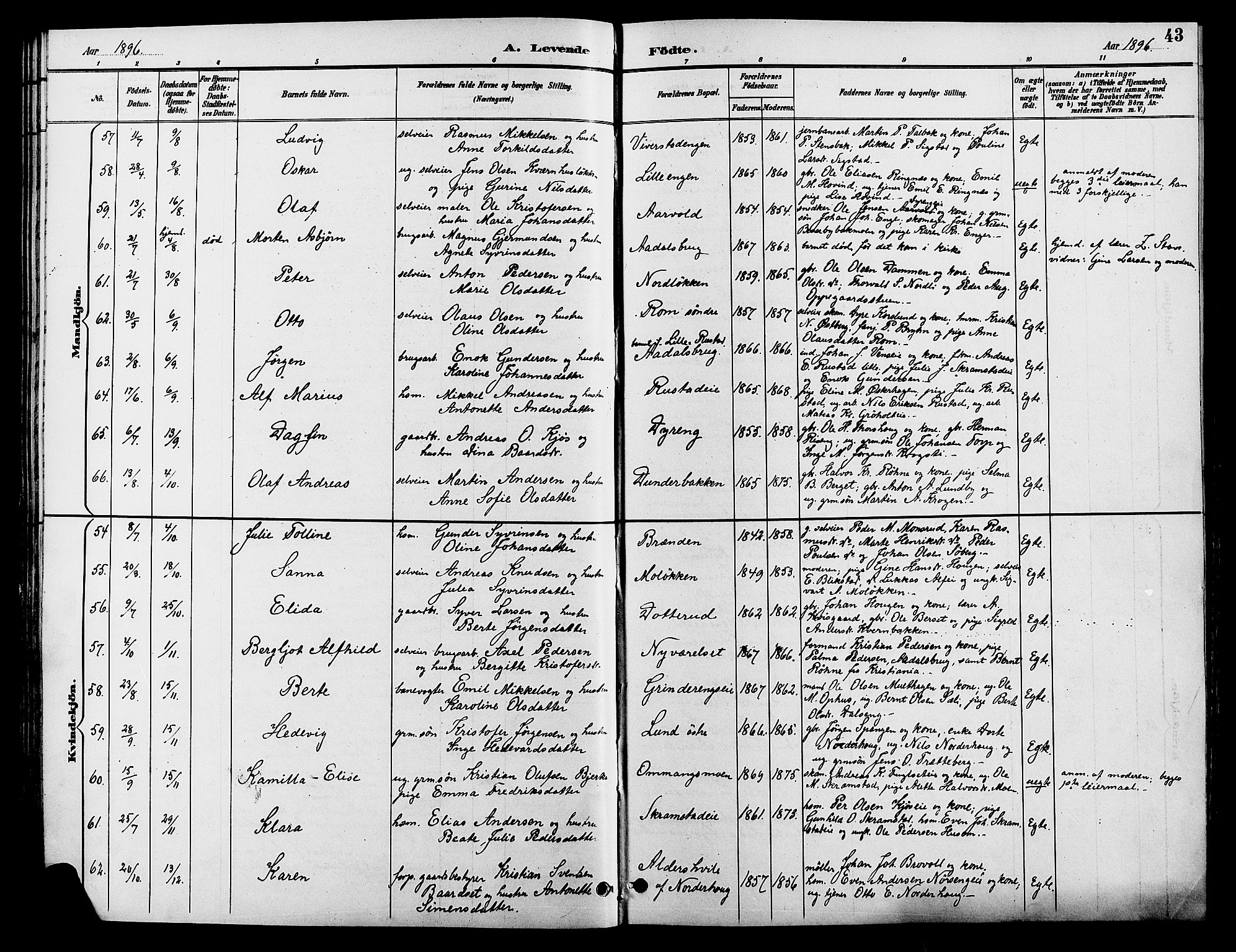 Løten prestekontor, AV/SAH-PREST-022/L/La/L0006: Parish register (copy) no. 6, 1892-1909, p. 43