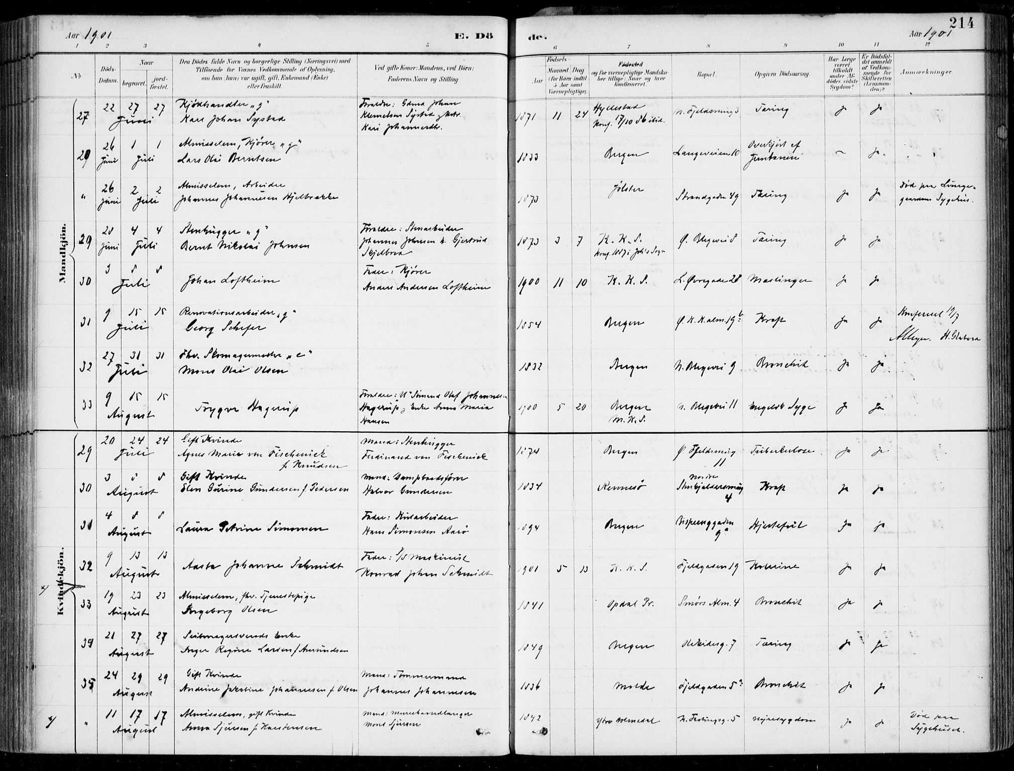 Korskirken sokneprestembete, SAB/A-76101/H/Hab: Parish register (copy) no. E 4, 1884-1910, p. 214
