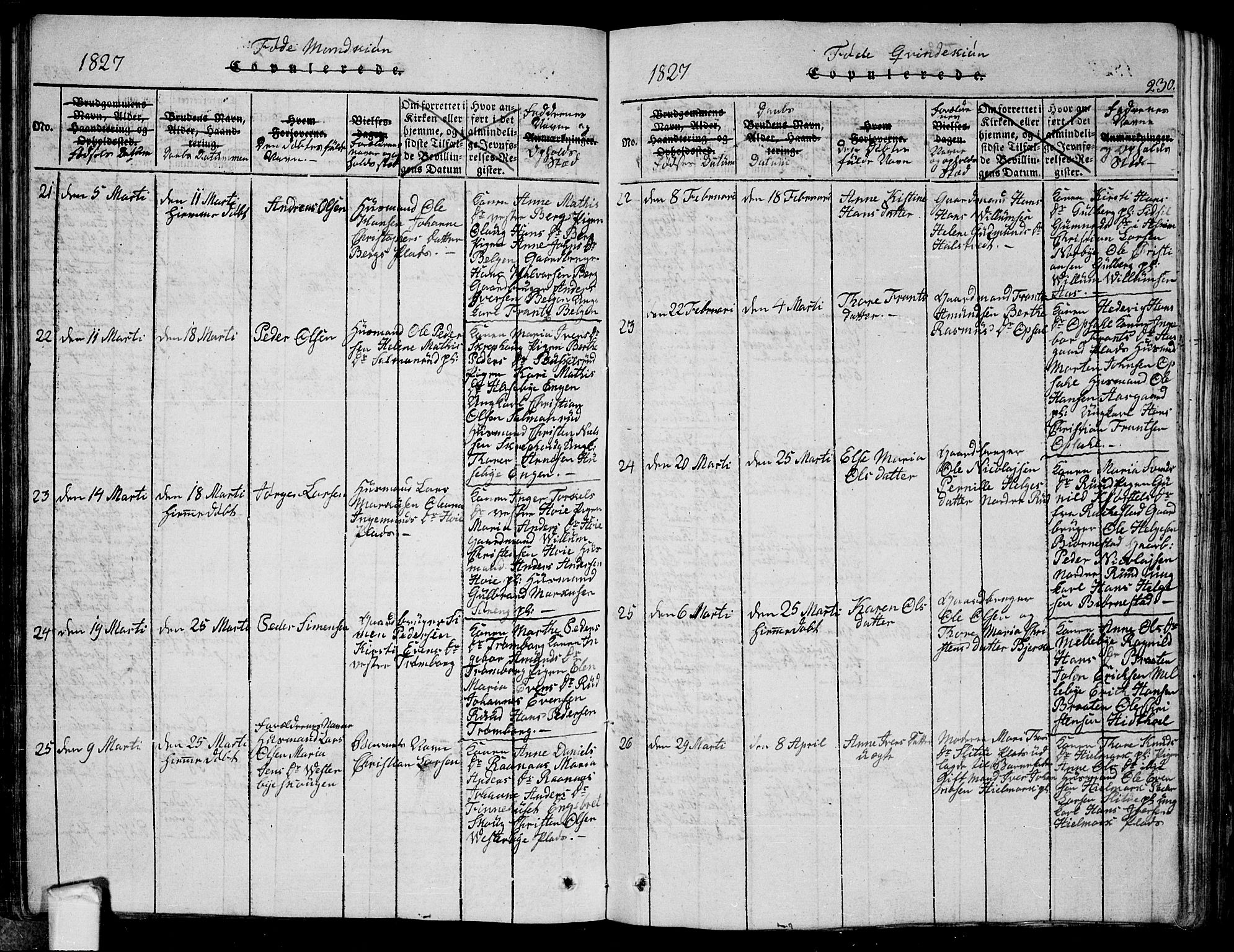 Eidsberg prestekontor Kirkebøker, AV/SAO-A-10905/G/Ga/L0001: Parish register (copy) no. I 1, 1814-1831, p. 230