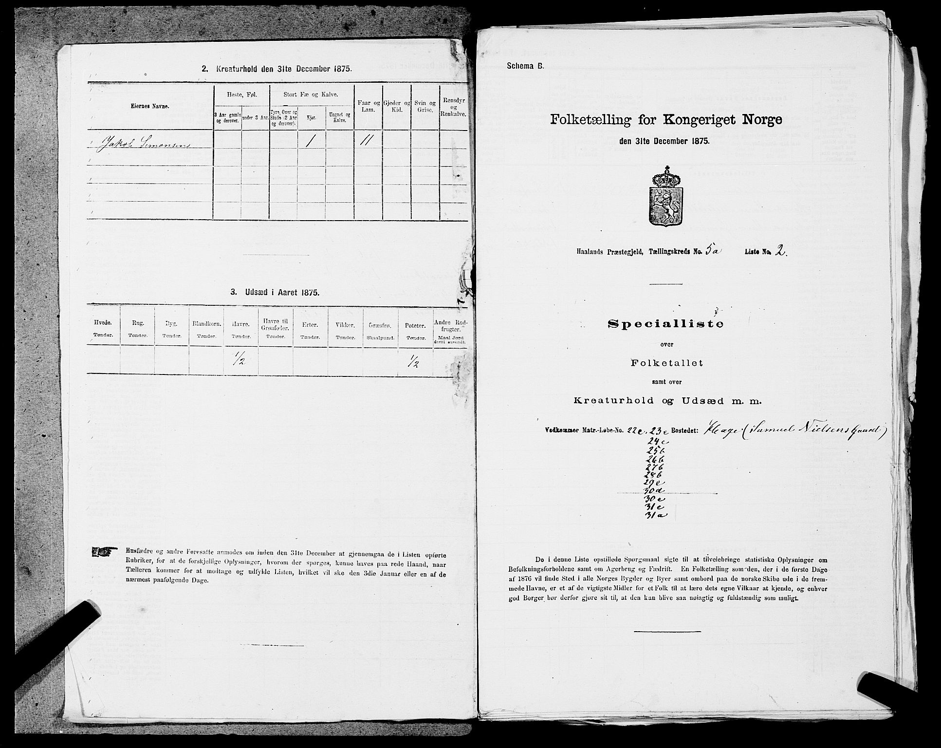 SAST, 1875 census for 1124P Håland, 1875, p. 644