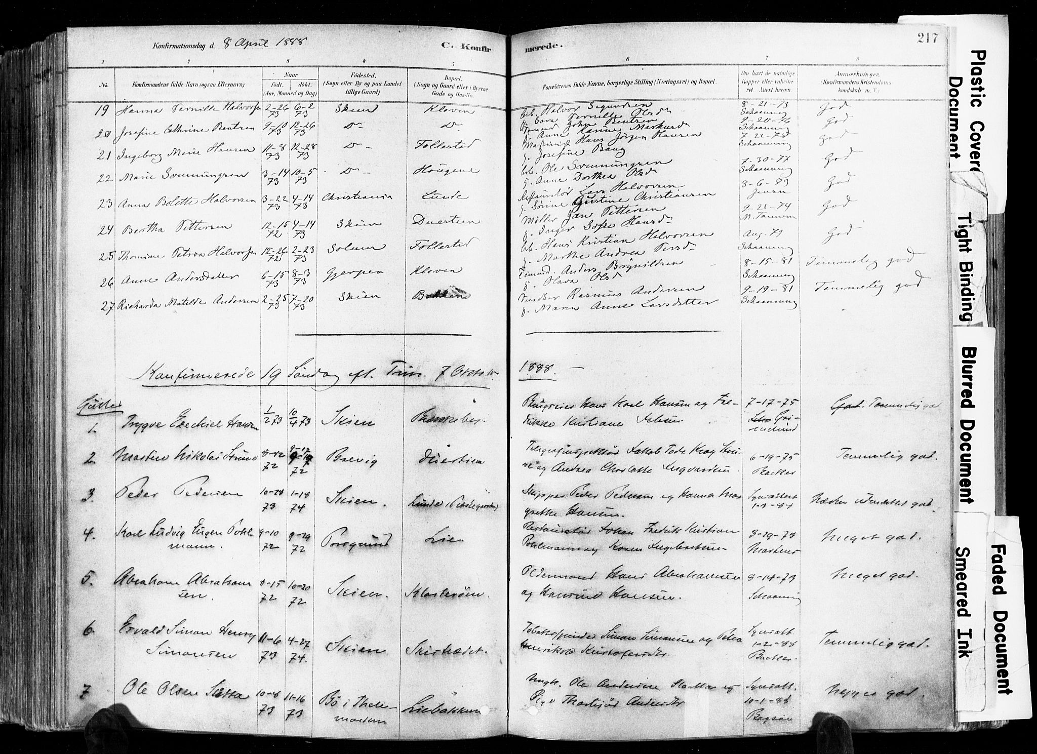 Skien kirkebøker, SAKO/A-302/F/Fa/L0009: Parish register (official) no. 9, 1878-1890, p. 217