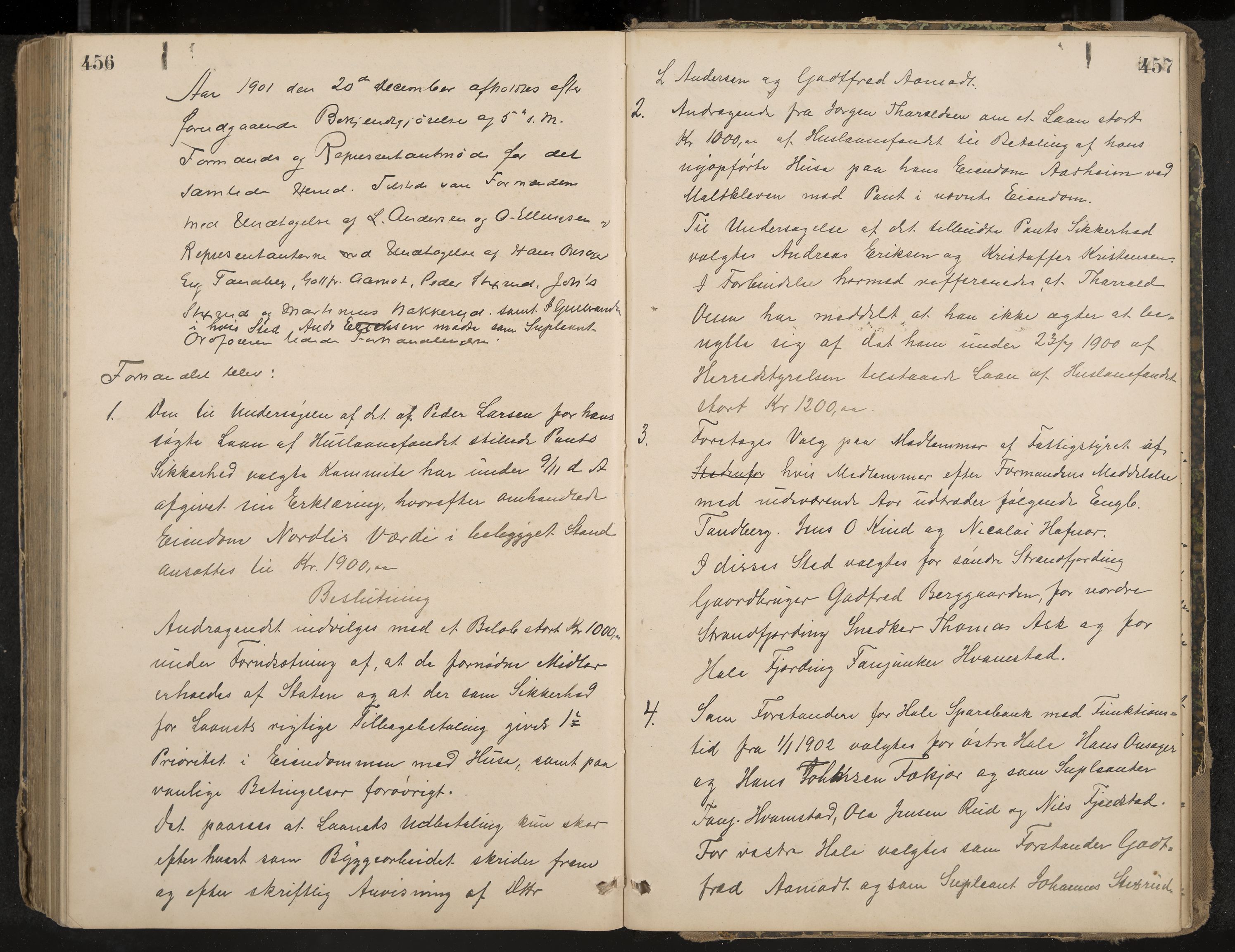 Hole formannskap og sentraladministrasjon, IKAK/0612021-1/A/Aa/L0003: Møtebok med register, 1892-1902, p. 456-457