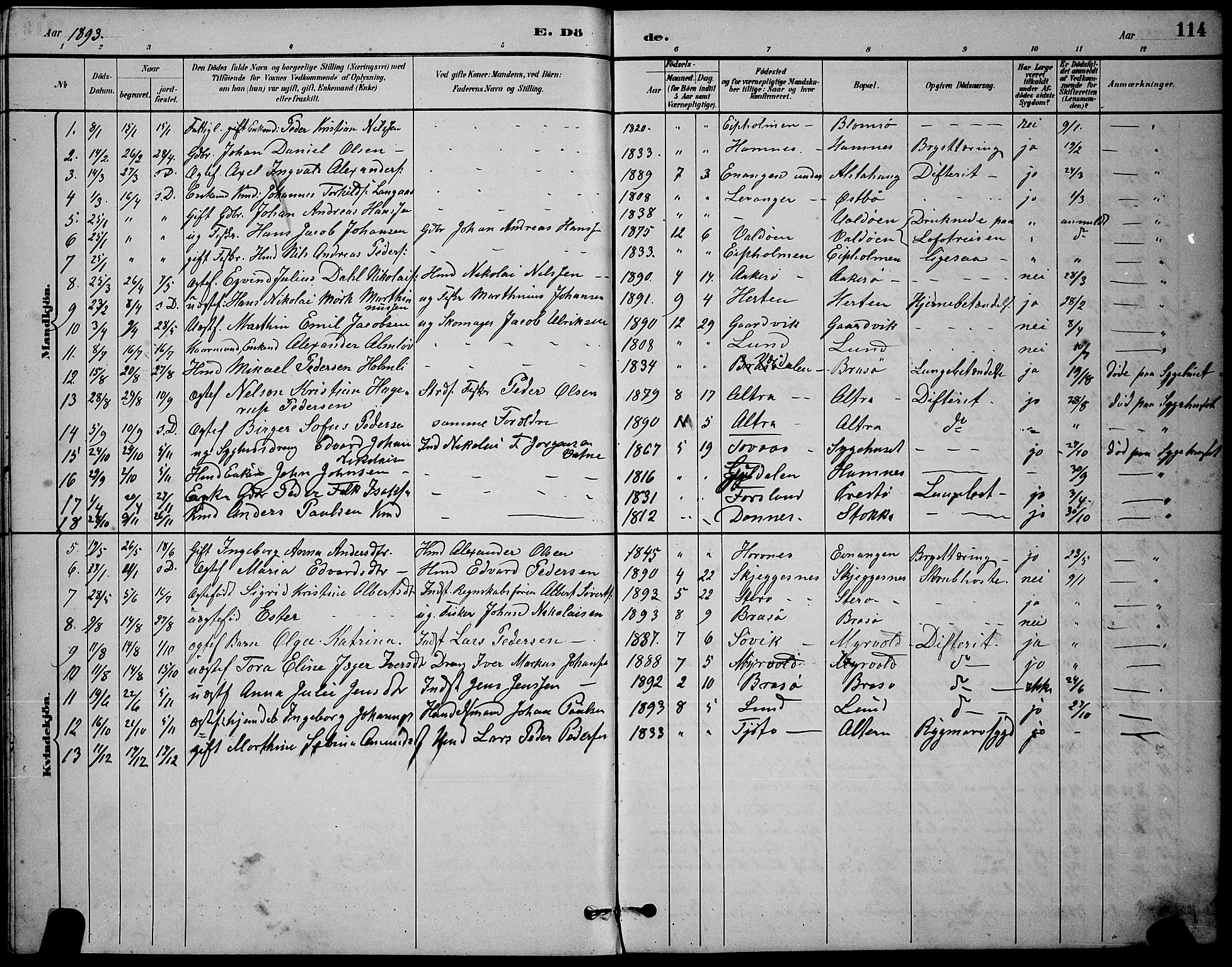 Ministerialprotokoller, klokkerbøker og fødselsregistre - Nordland, AV/SAT-A-1459/830/L0462: Parish register (copy) no. 830C04, 1882-1895, p. 114