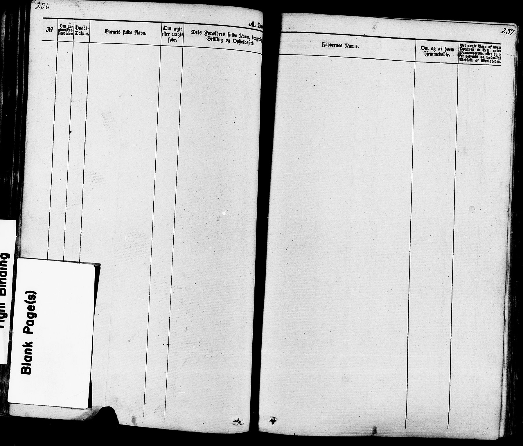 Seljord kirkebøker, AV/SAKO-A-20/F/Fa/L0013: Parish register (official) no. I 13, 1866-1876, p. 236-237