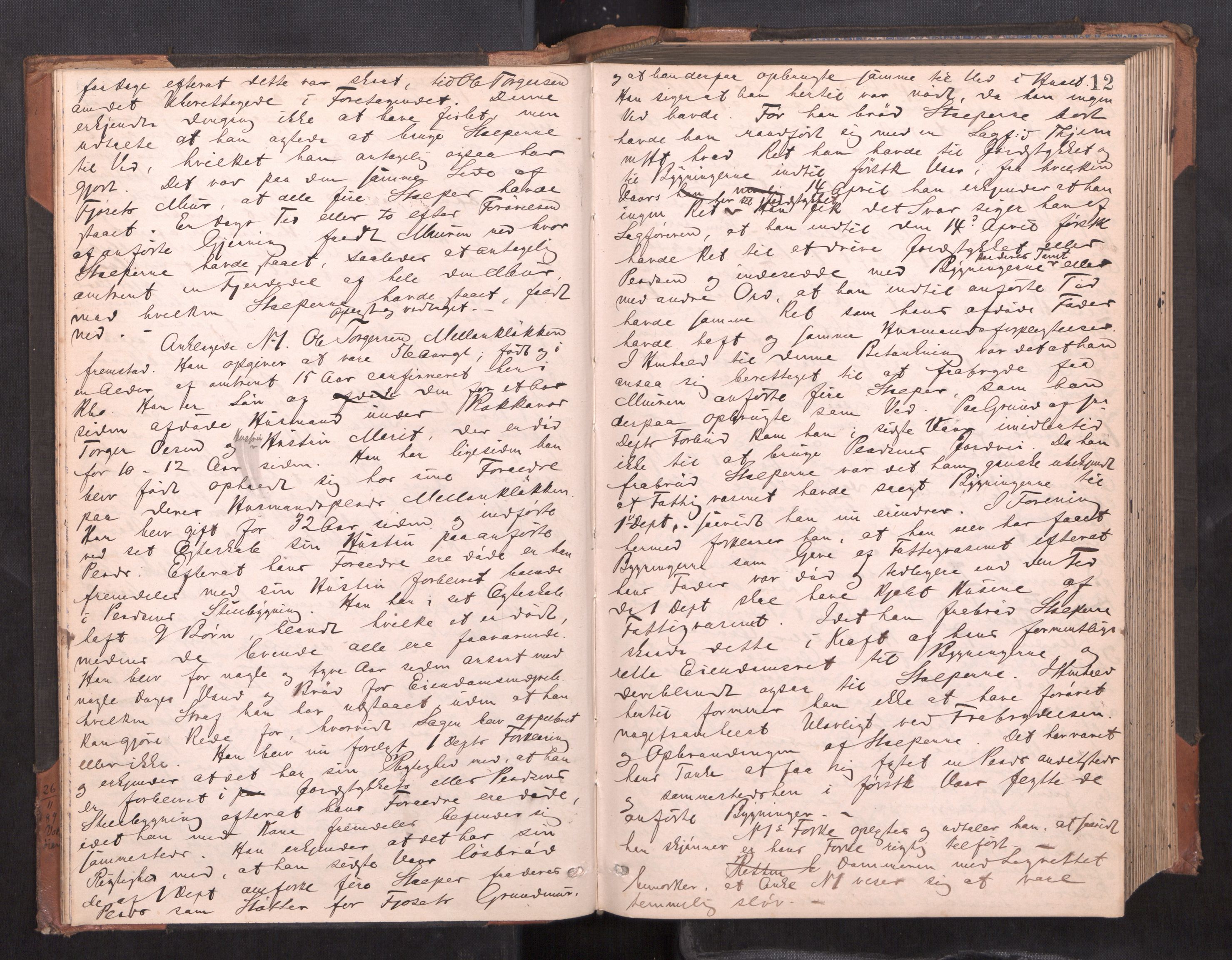 Orkdal sorenskriveri, AV/SAT-A-4169/1/1/1B/L0019: Ekstrarettsprotokoll, 1888-1895, p. 11b-12a
