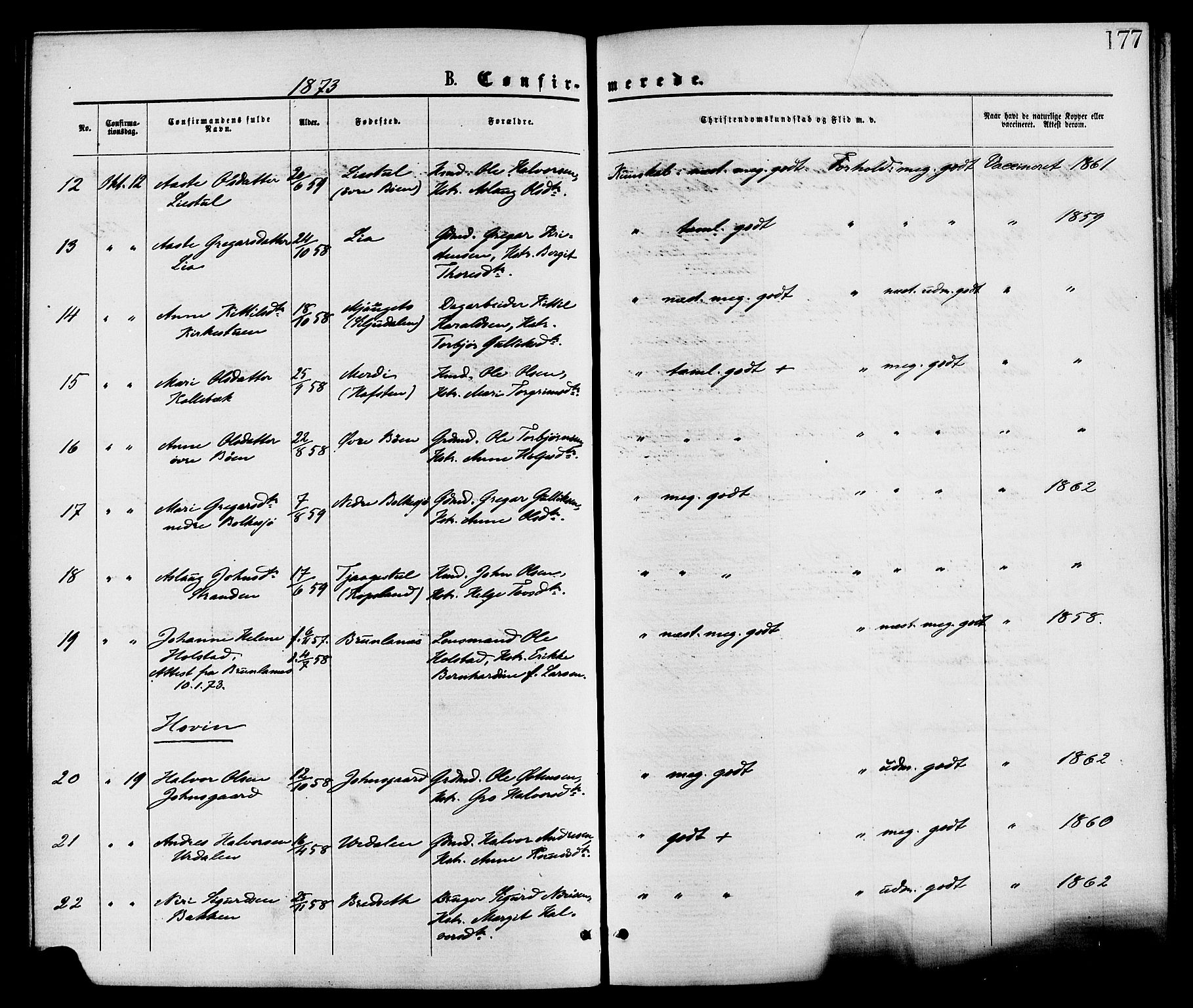 Gransherad kirkebøker, SAKO/A-267/F/Fa/L0004: Parish register (official) no. I 4, 1871-1886, p. 177