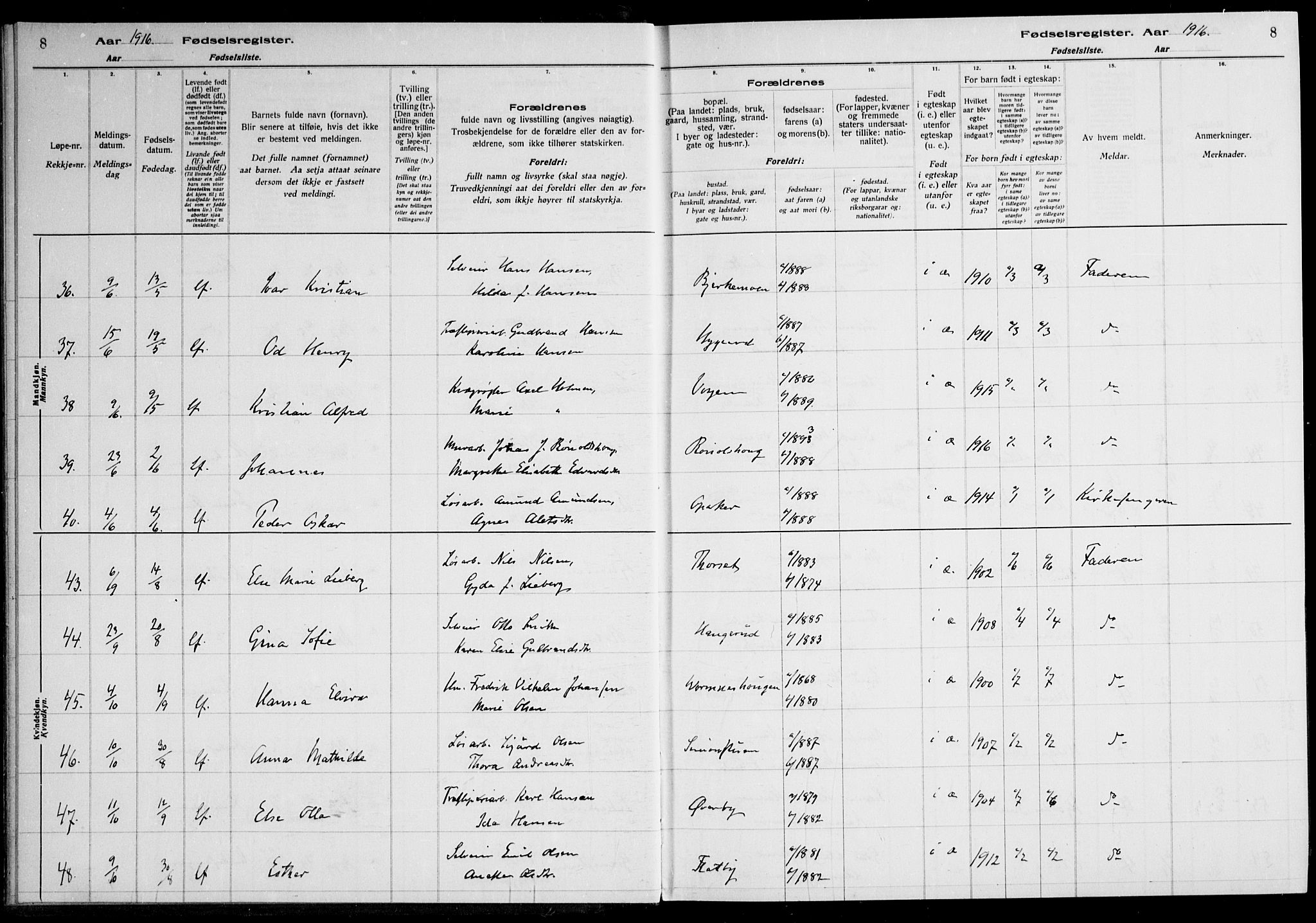 Nes prestekontor Kirkebøker, AV/SAO-A-10410/J/Ja/L0001: Birth register no. 1, 1916-1926, p. 8