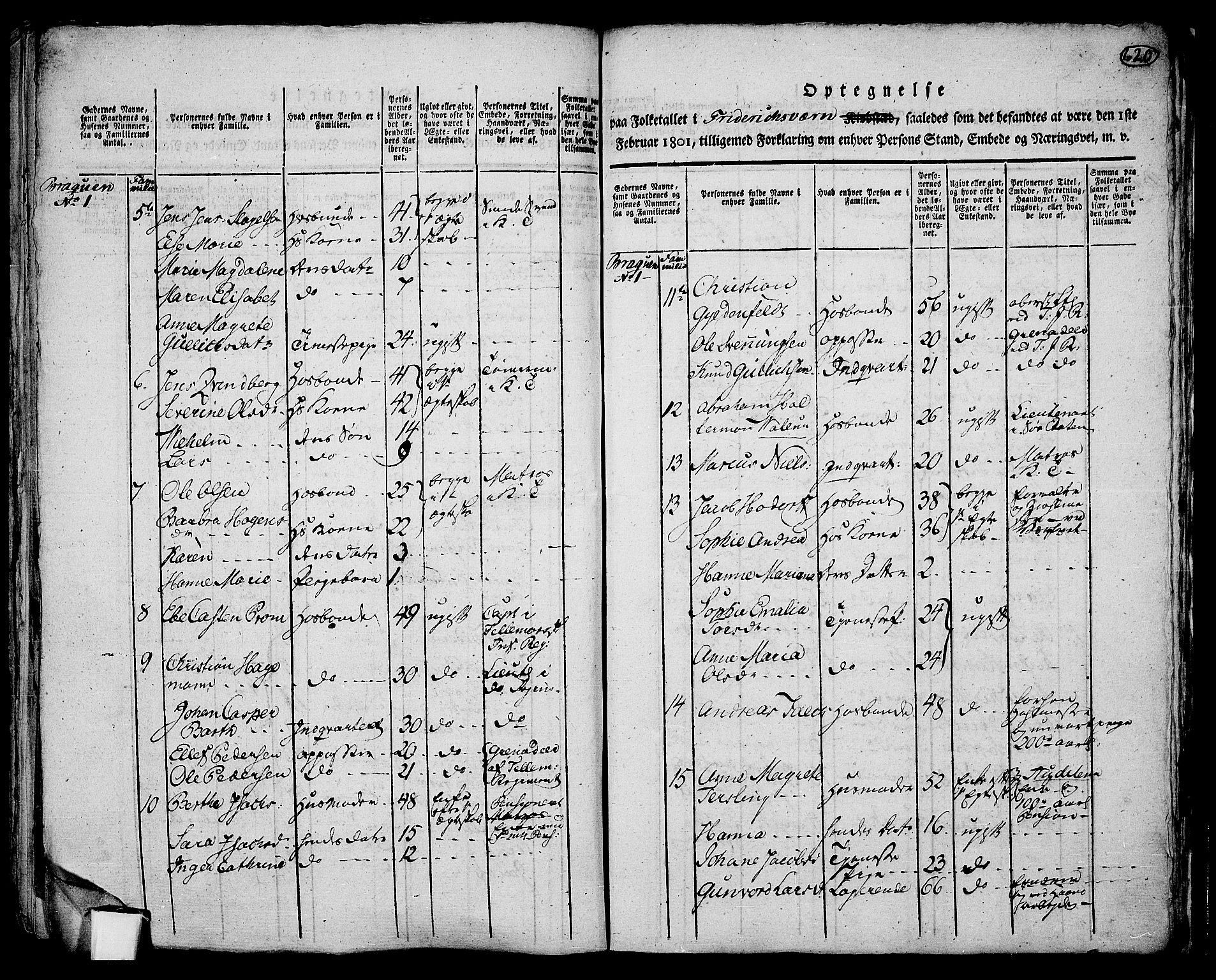 RA, 1801 census for 0708P Fredriksvern, 1801, p. 619b-620a